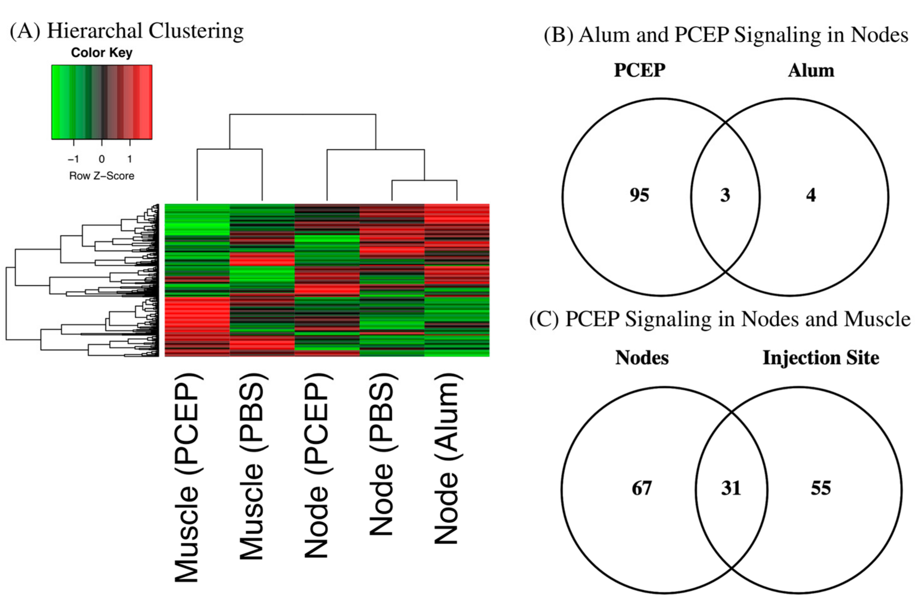 Vaccines 10 00927 g001 Vaccines 10 00927 g001