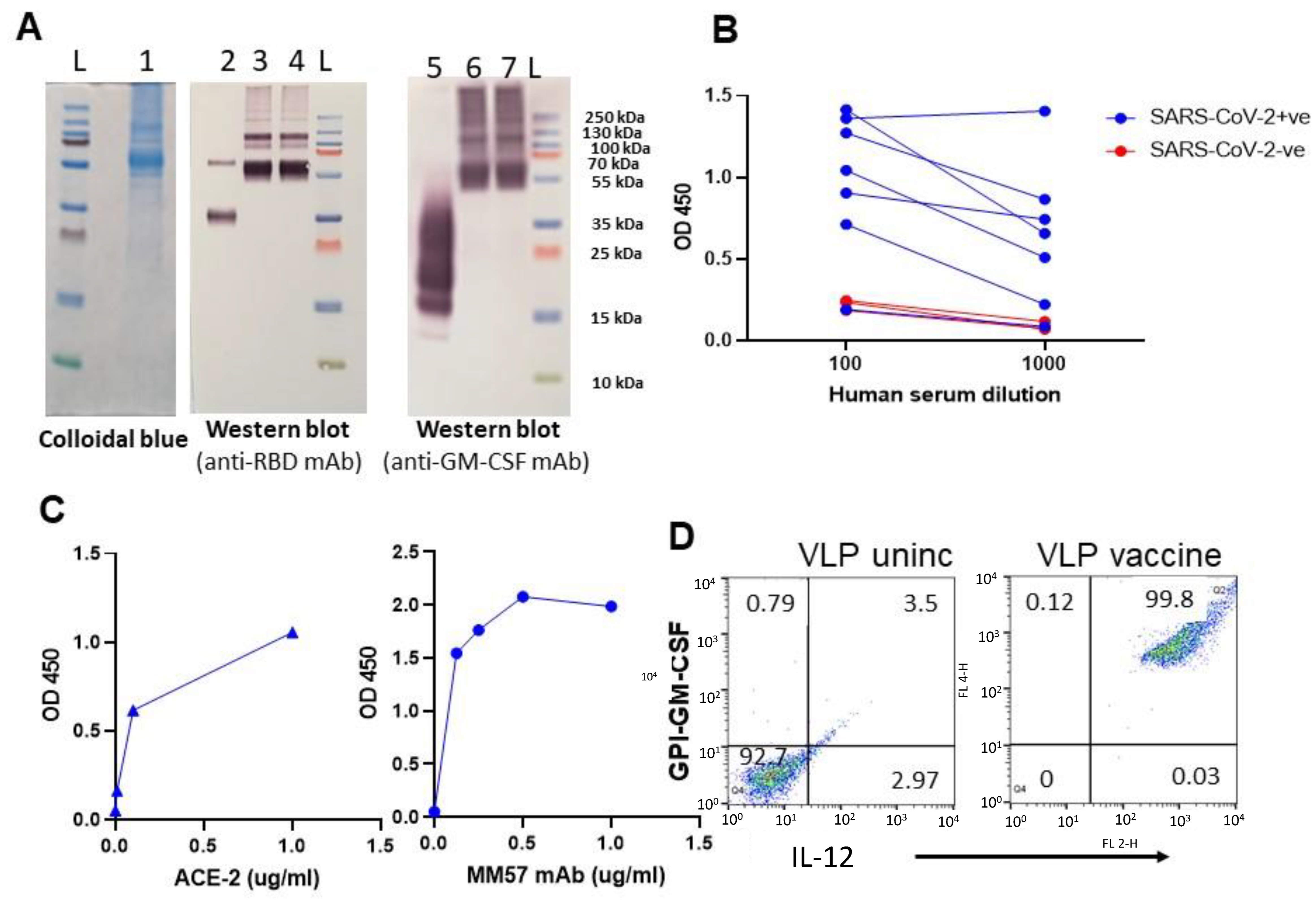 Vaccines 10 00944 g002 Vaccines 10 00944 g002