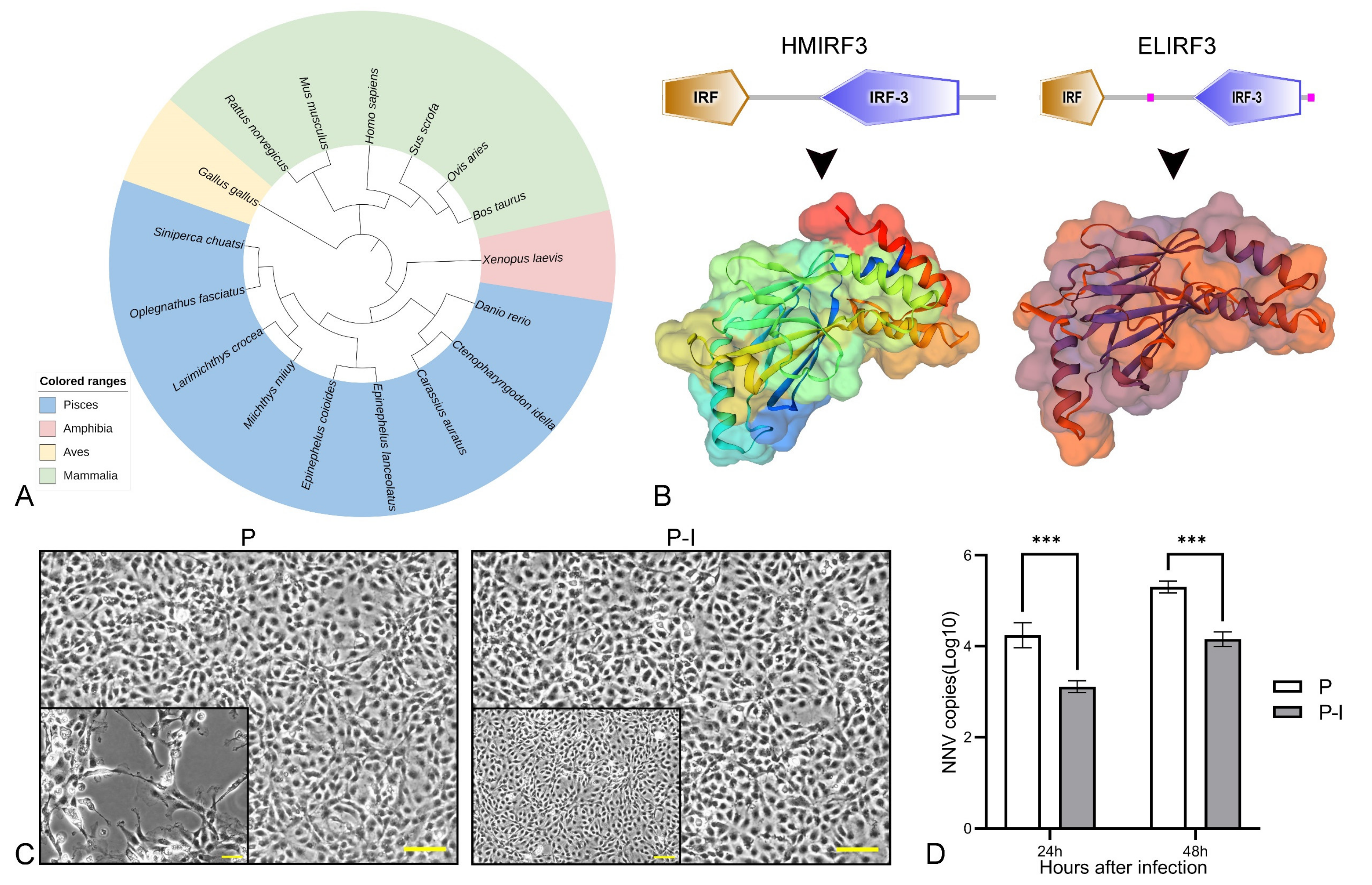 Vaccines 10 00946 g001