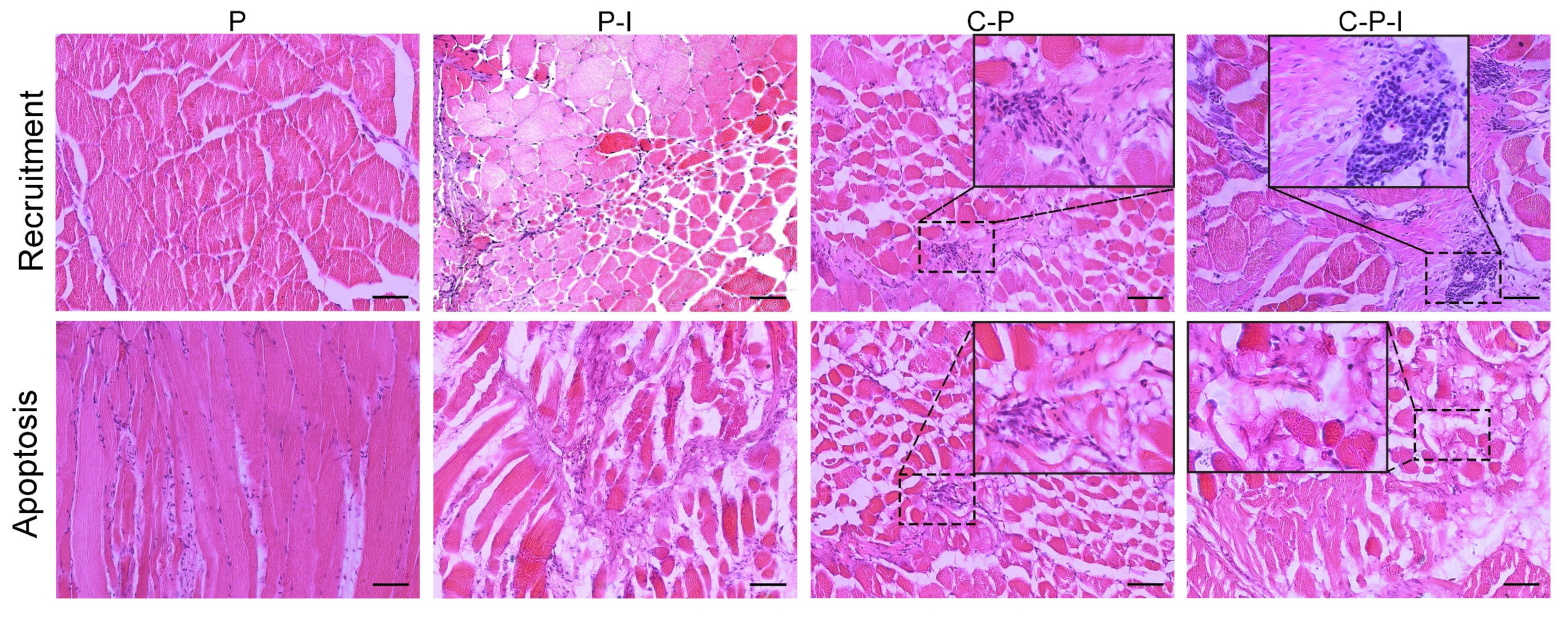 Vaccines 10 00946 g005