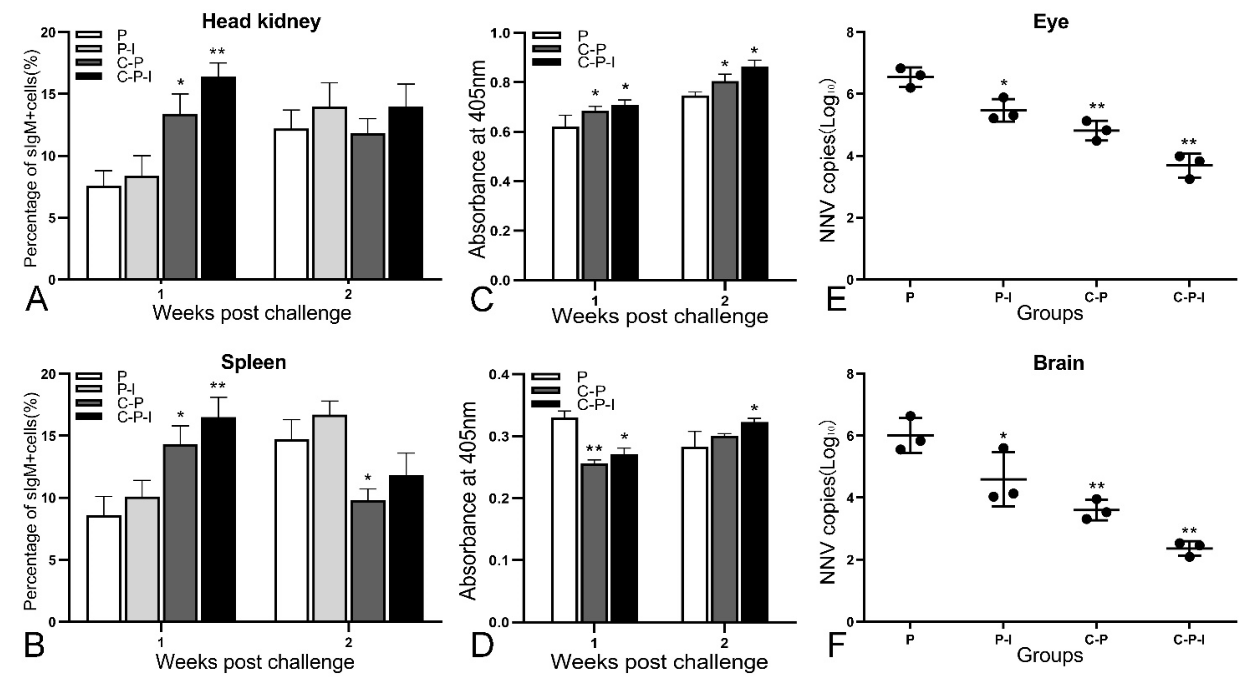 Vaccines 10 00946 g009