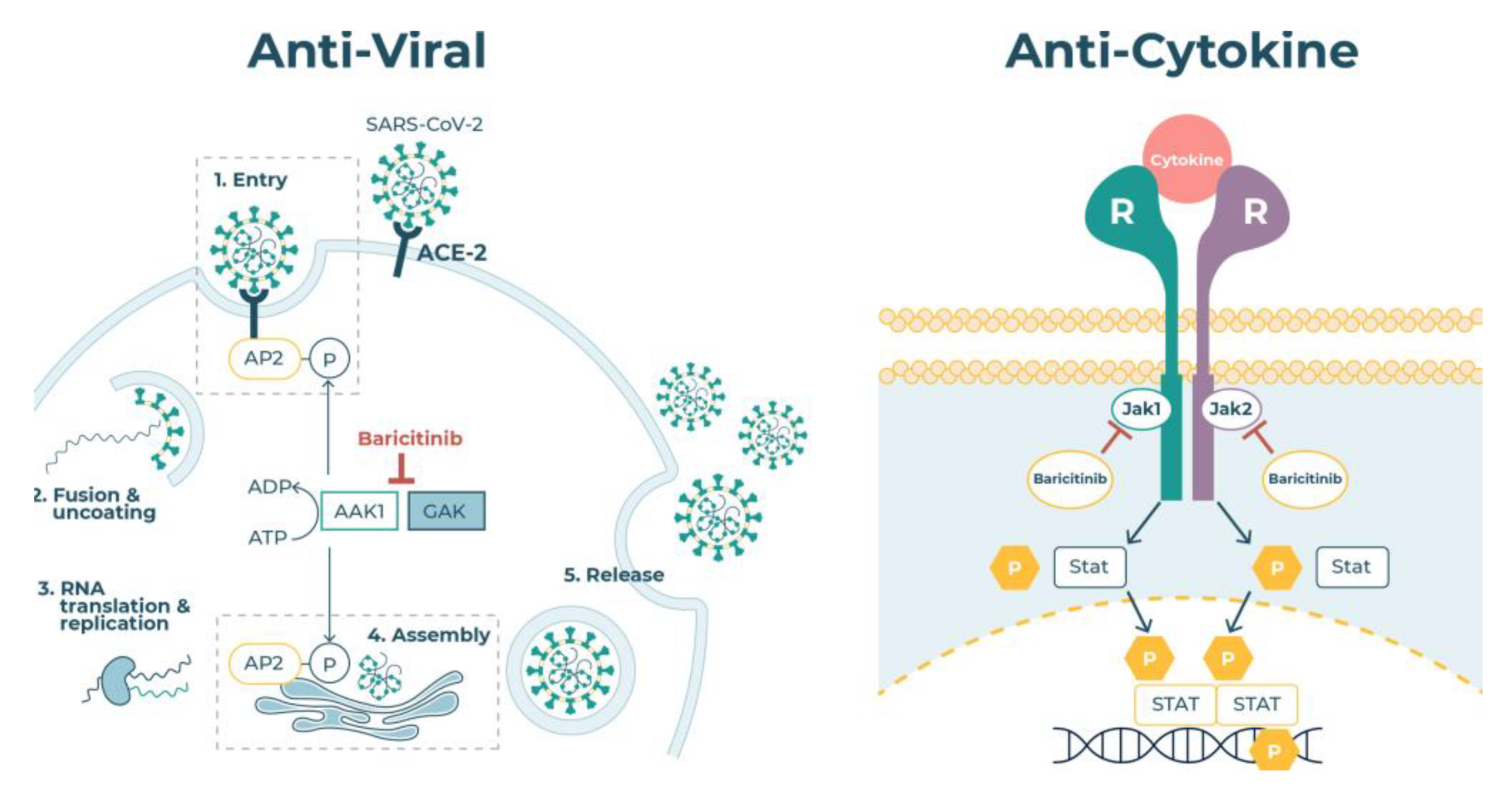 Vaccines 10 00951 g003