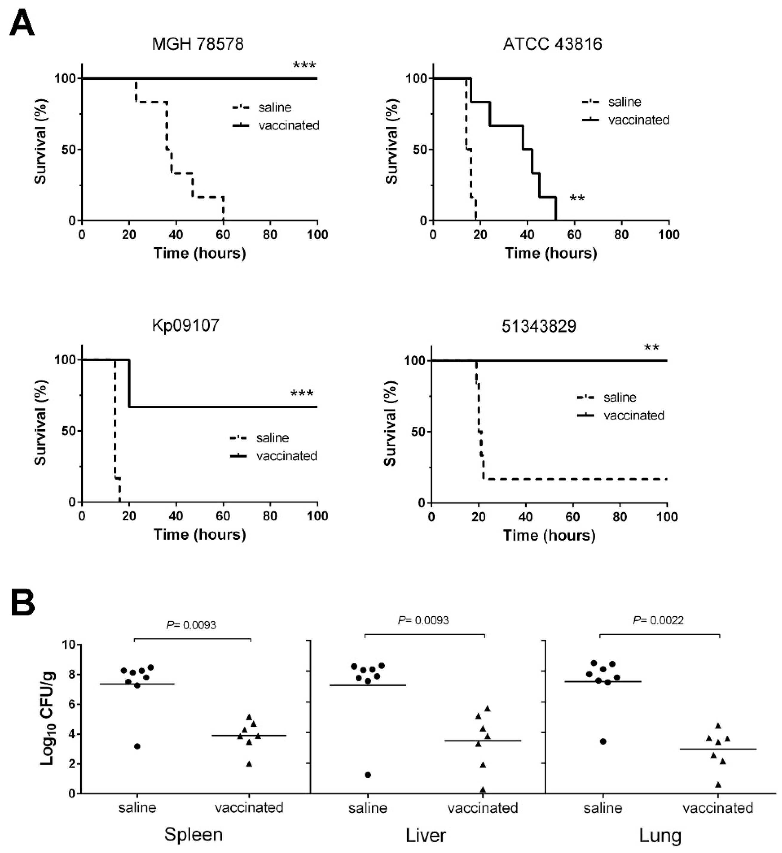 Vaccines 10 00953 g006