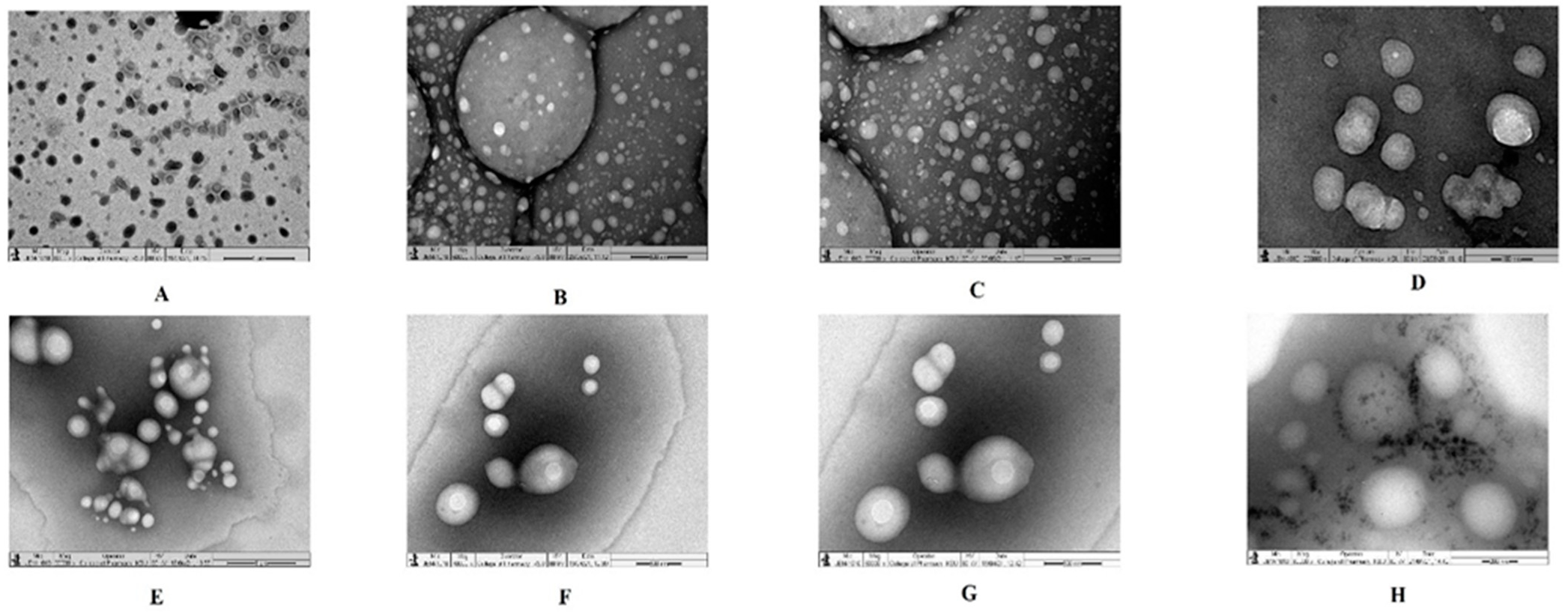 Vaccines 10 00954 g002 Vaccines 10 00954 g002