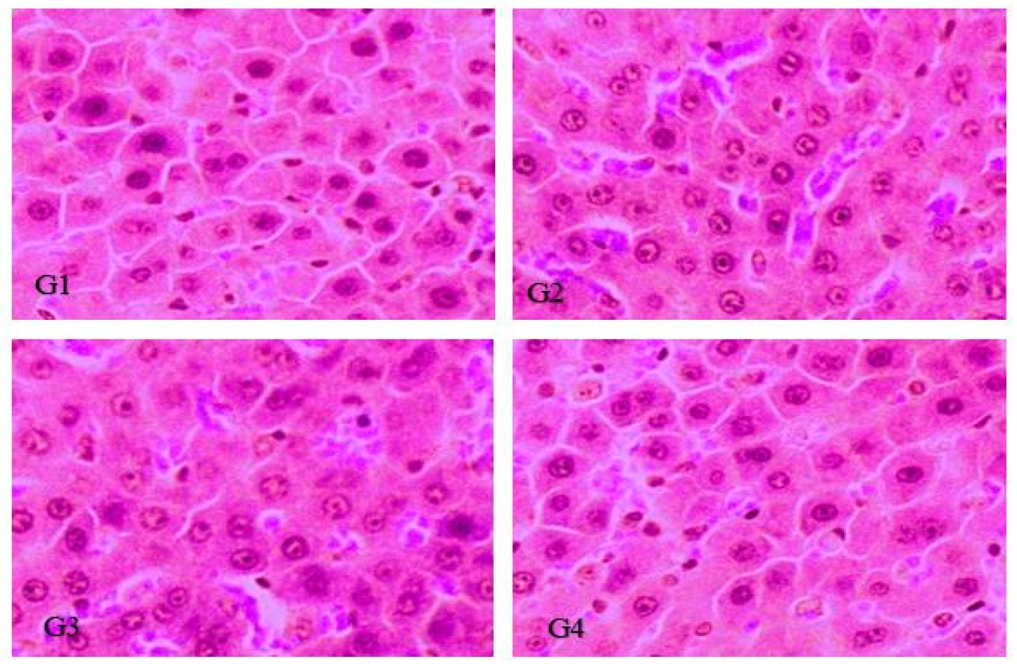 Vaccines 10 00954 g008 Vaccines 10 00954 g008