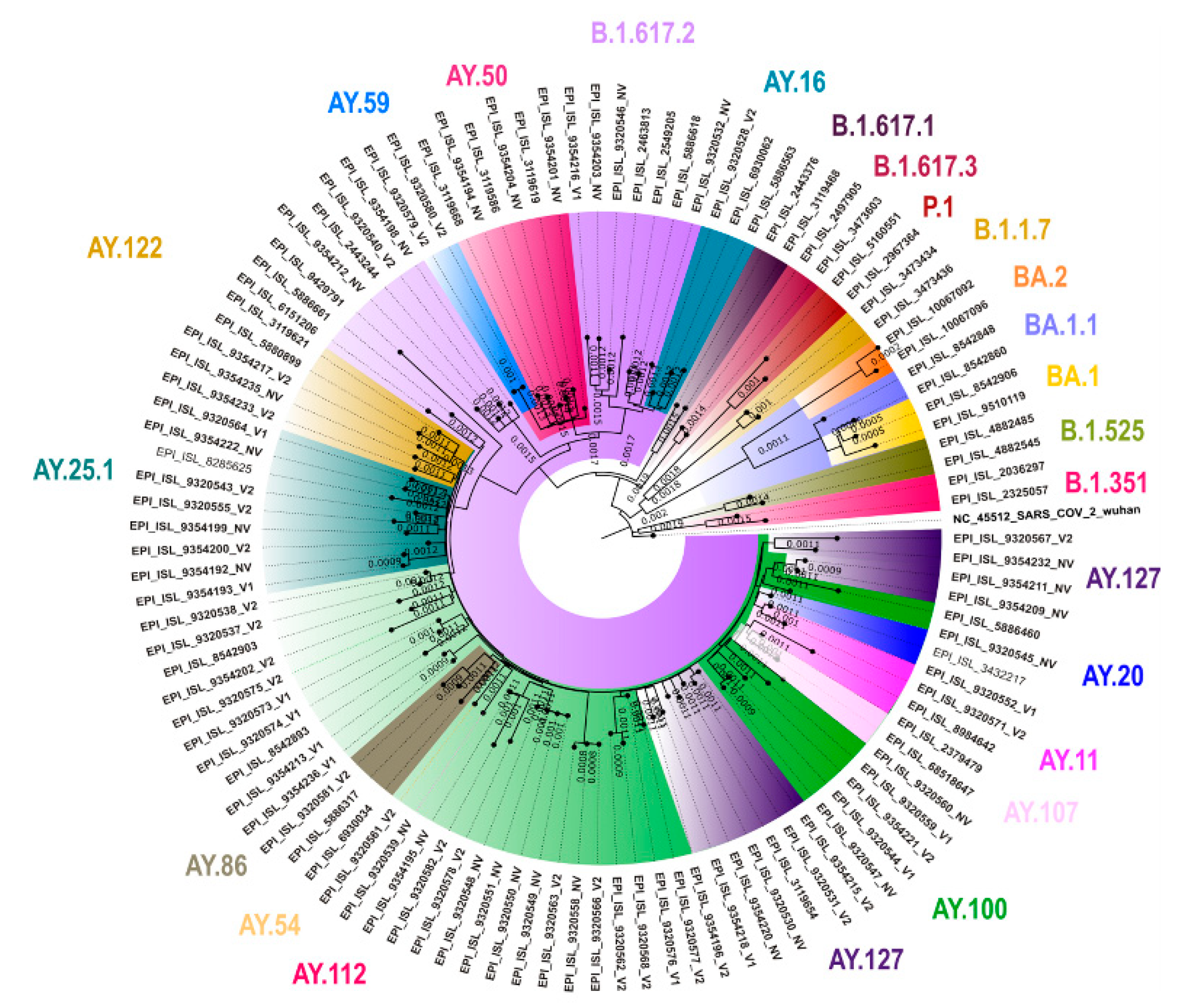 Vaccines 10 00970 g003 550