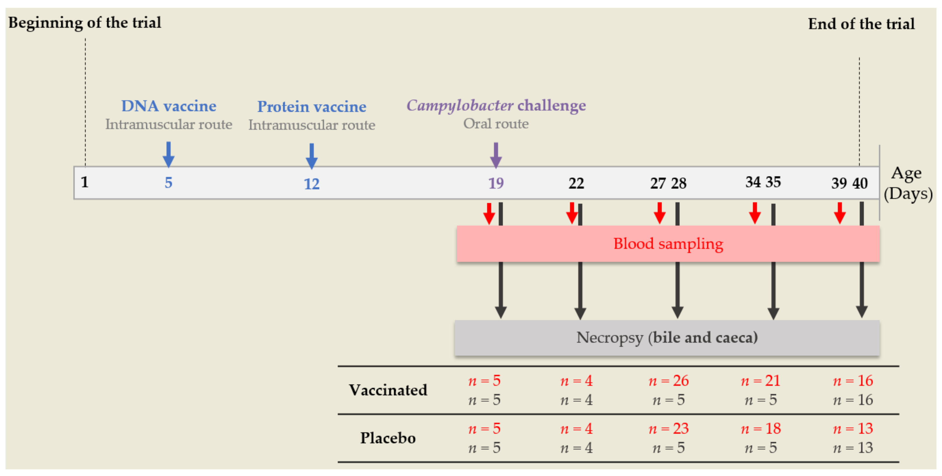 Vaccines 10 00981 g001 Vaccines 10 00981 g001
