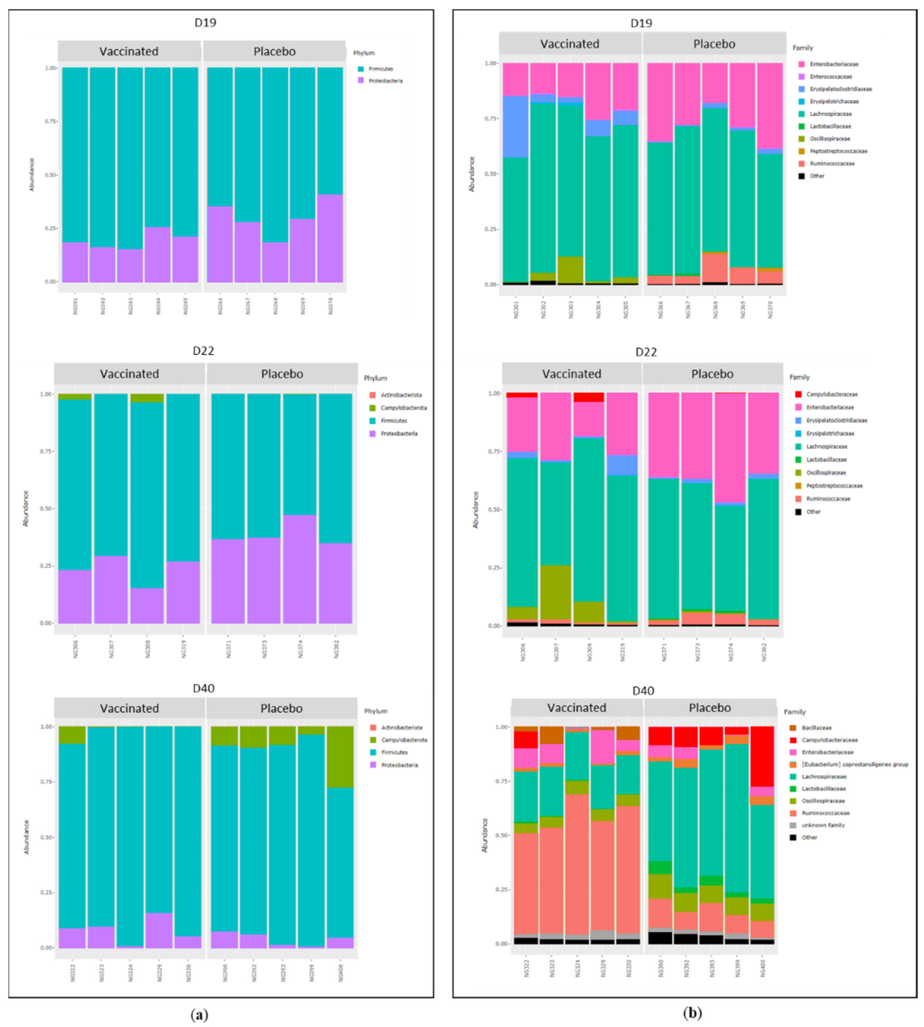 Vaccines 10 00981 g007 Vaccines 10 00981 g007