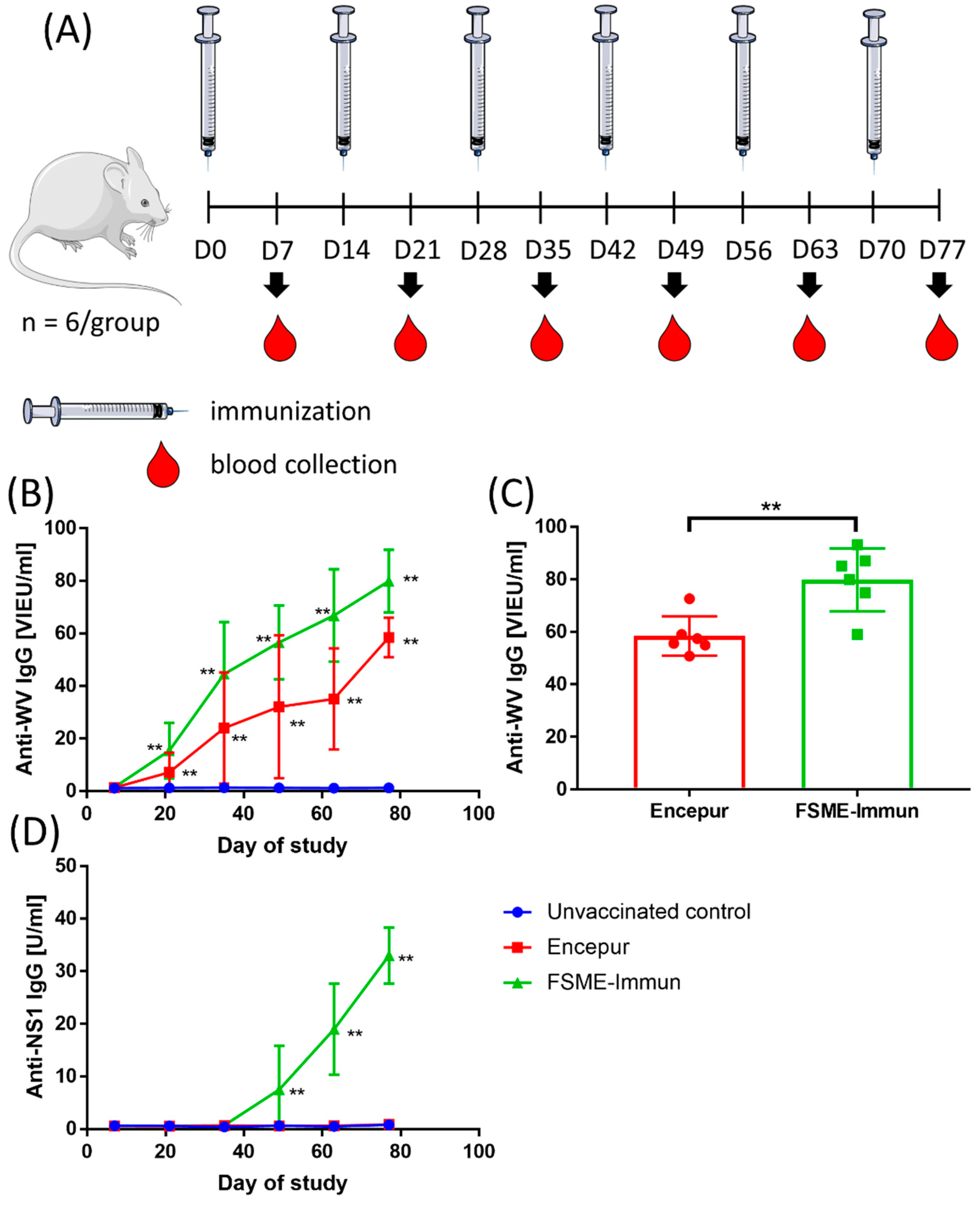 Vaccines 10 01001 g001 Vaccines 10 01001 g001