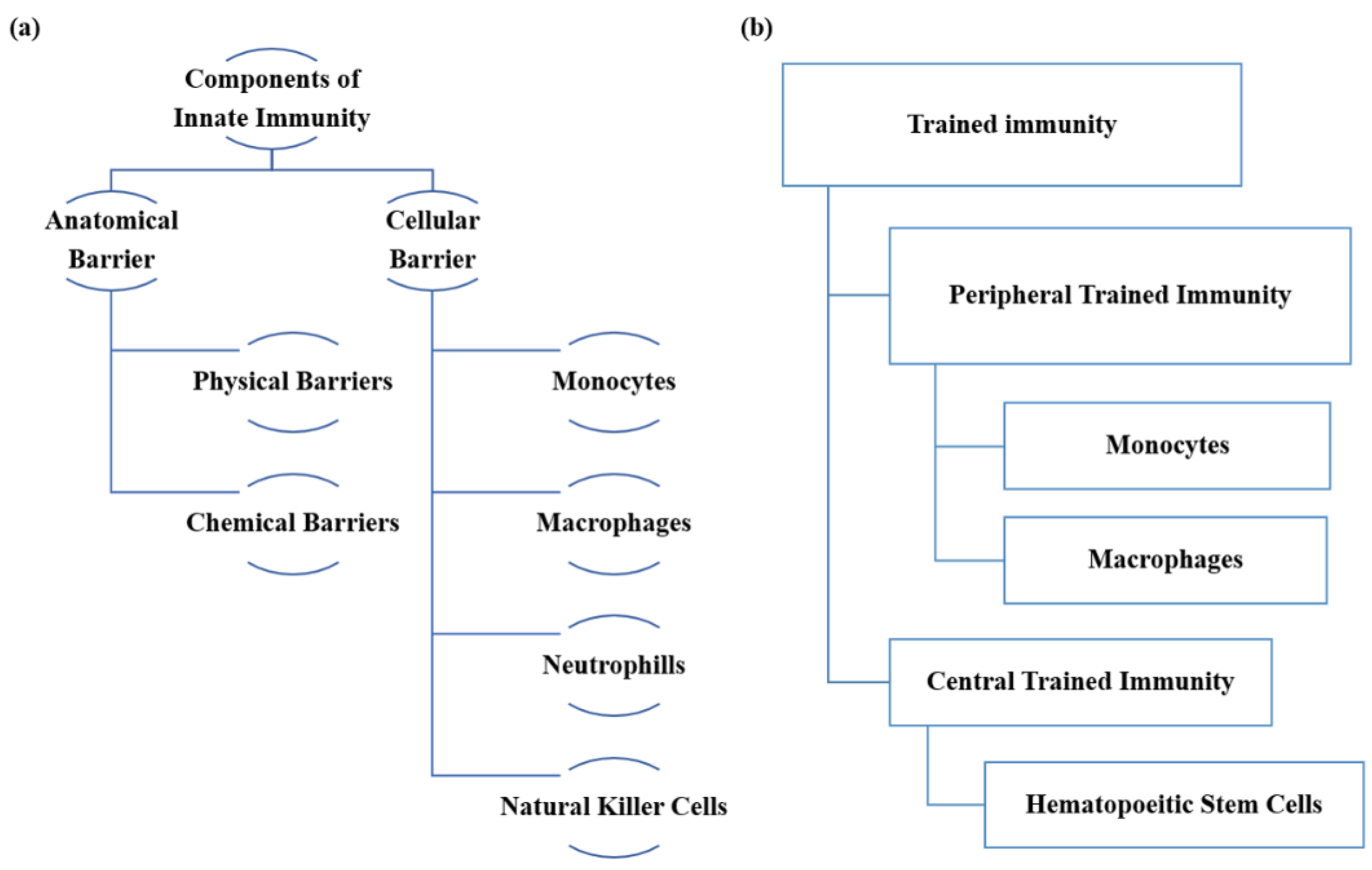Vaccines 10 01006 g001 Vaccines 10 01006 g001