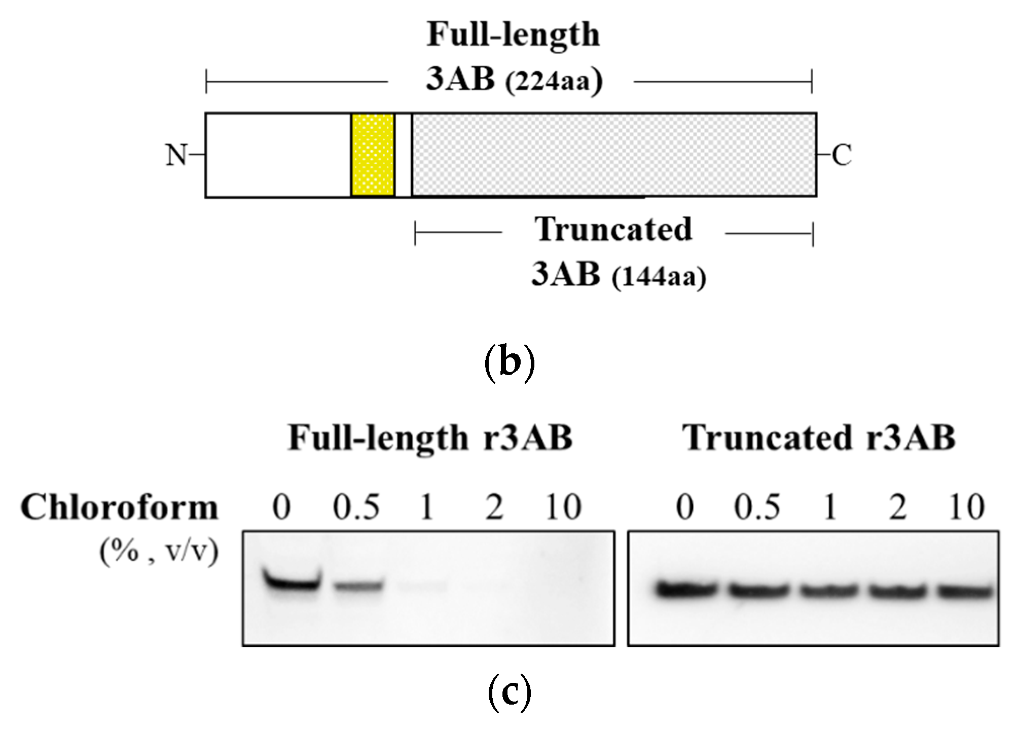 Vaccines 10 01018 g002b