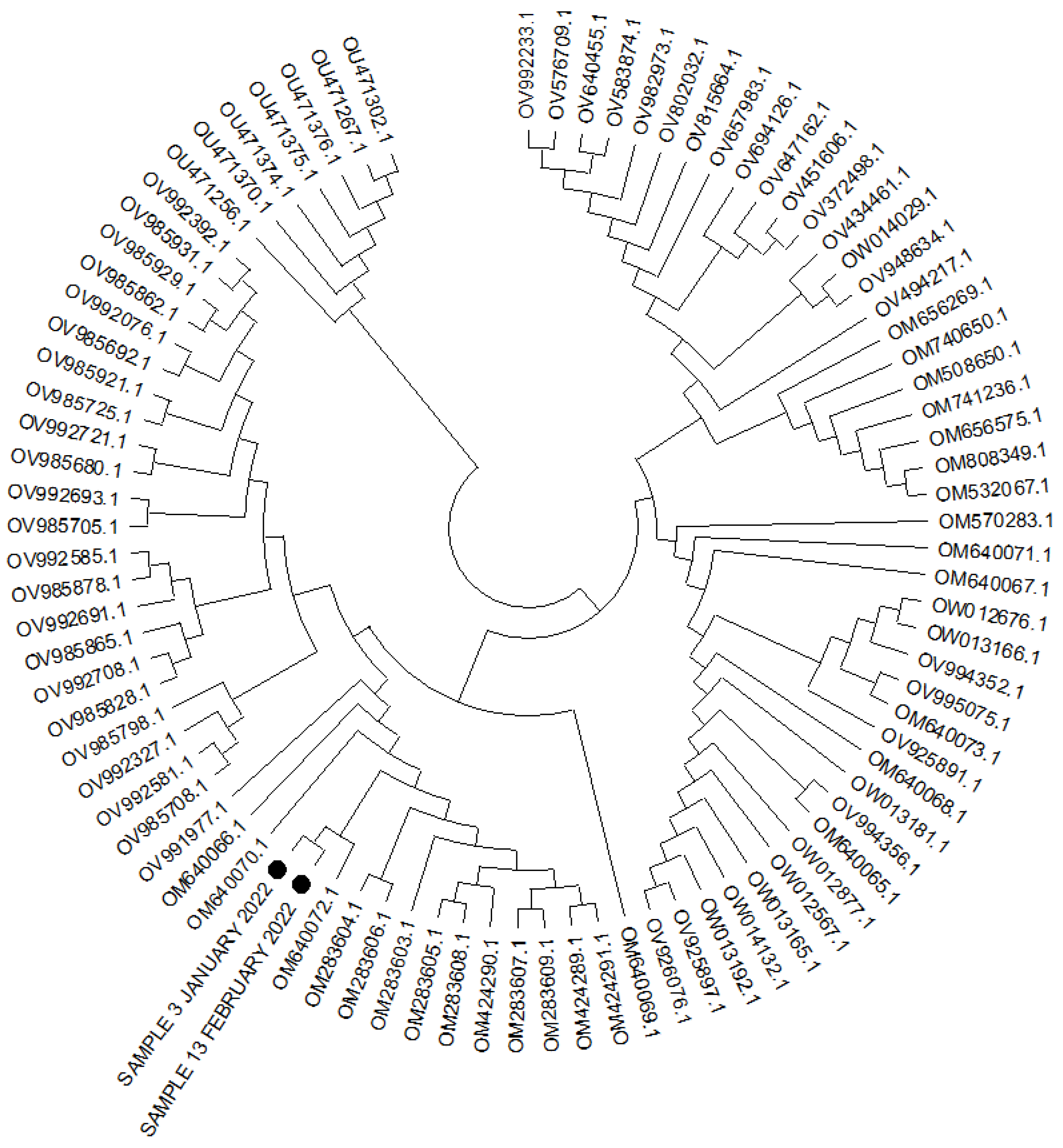 Vaccines 10 01021 g002 550