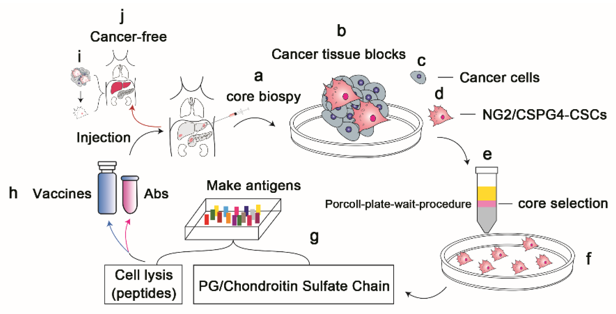 Vaccines 10 01023 g001