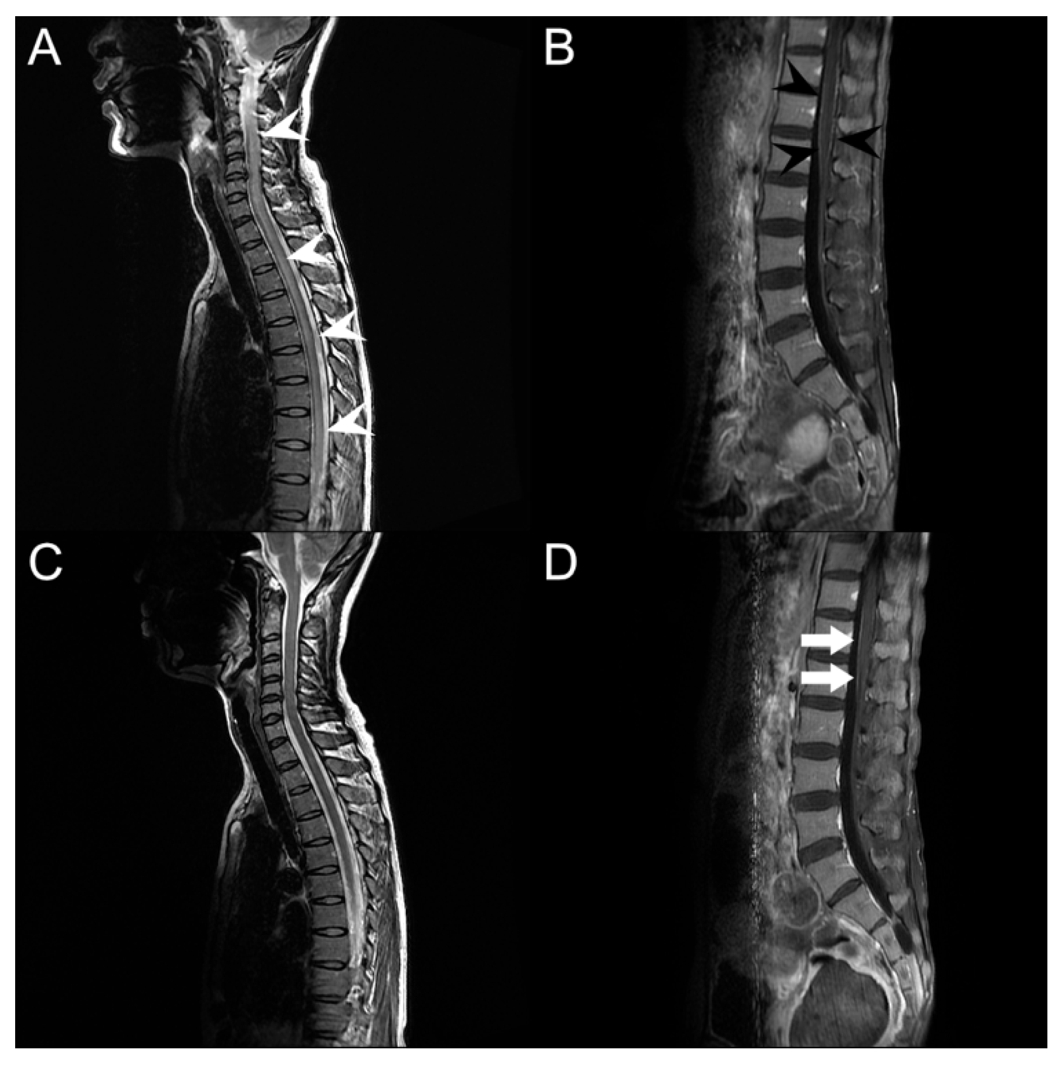 Vaccines 10 01028 g002