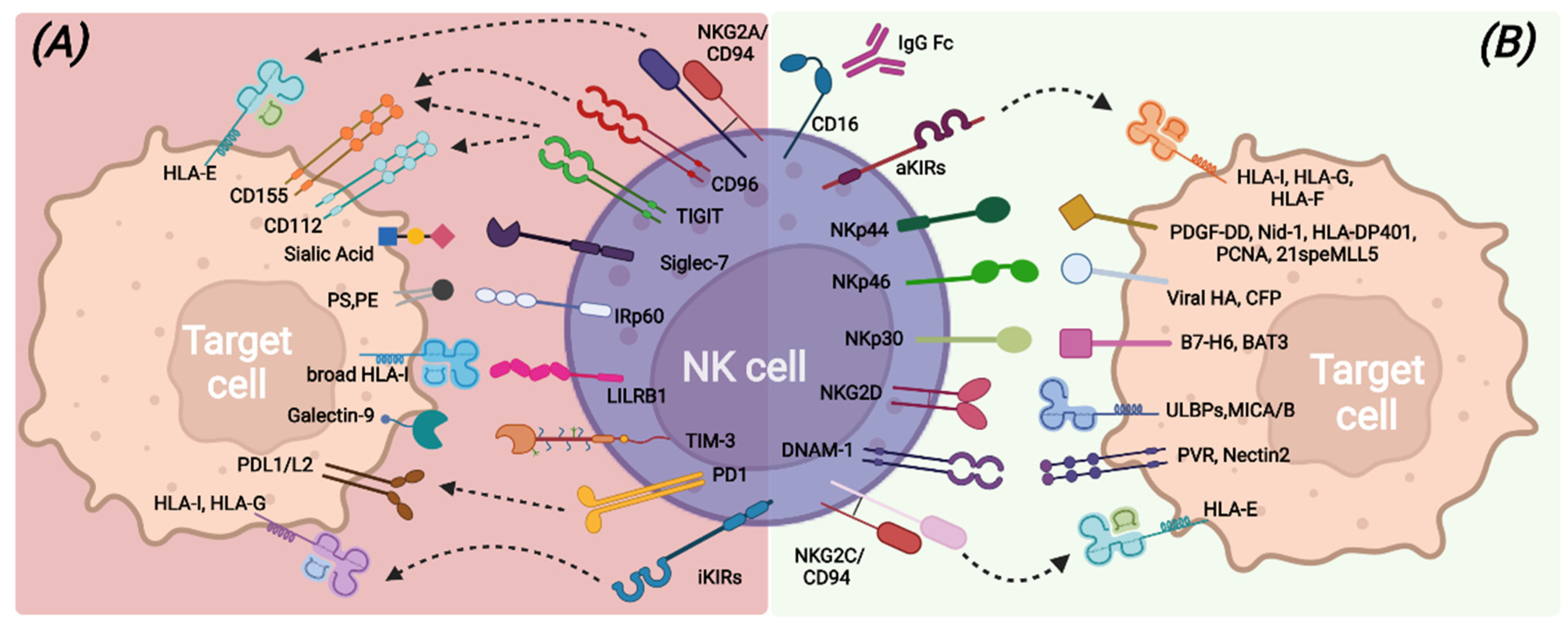Vaccines 10 01033 g001