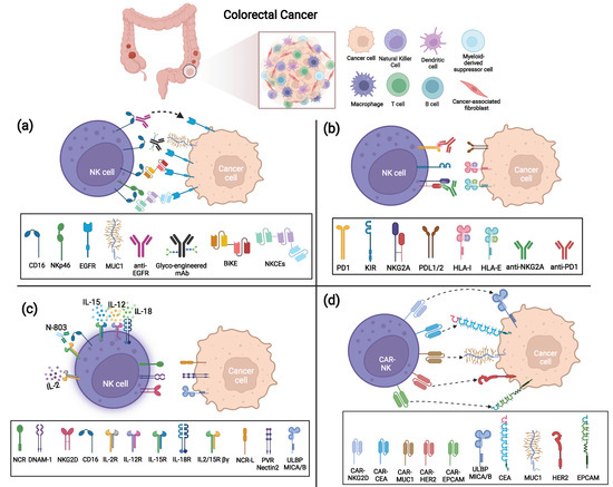 Multipurposing CARs: Same engine, different vehicles: Molecular Therapy