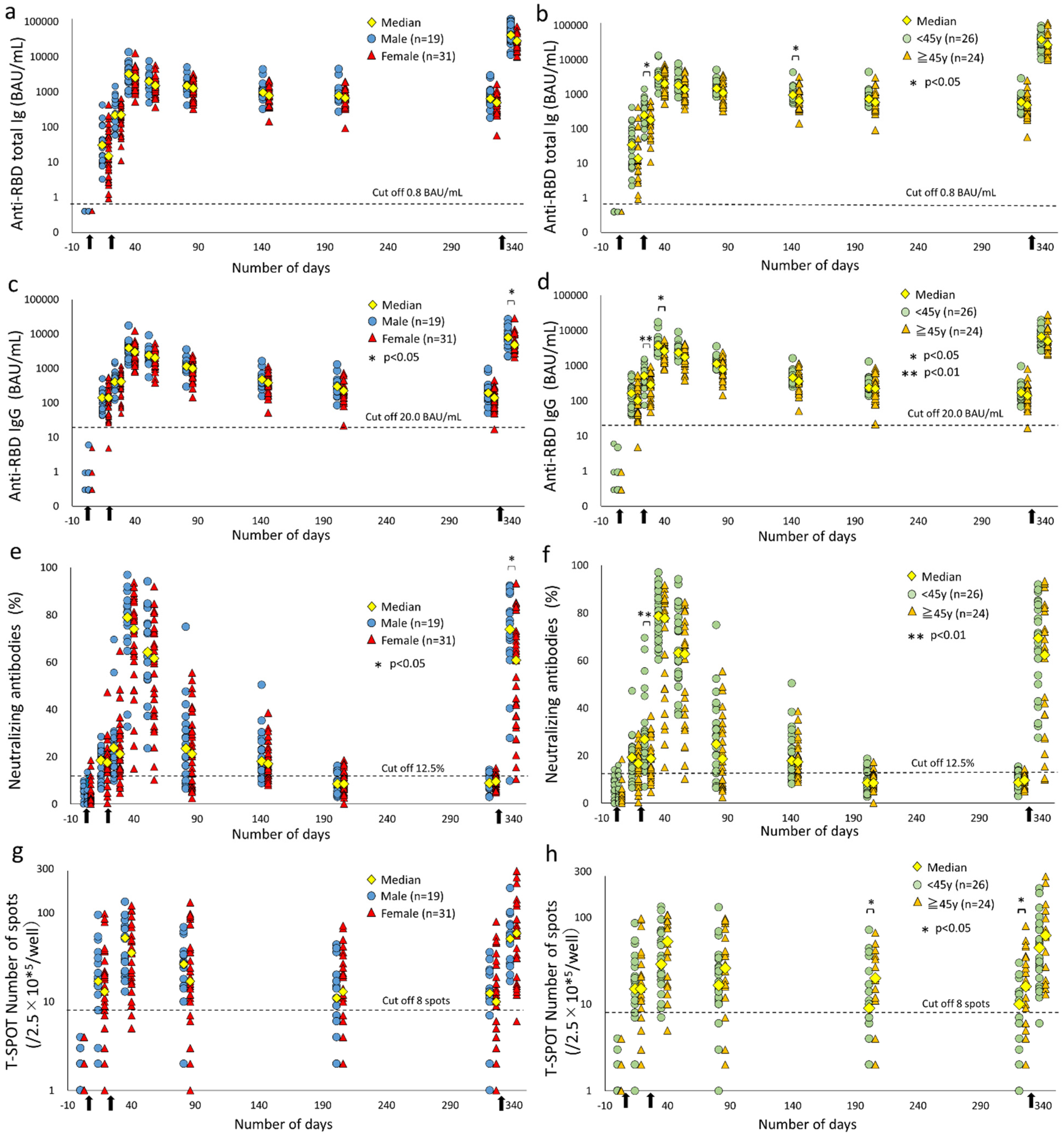 Delayed booster dosing improves human antigen-specific Ig and B