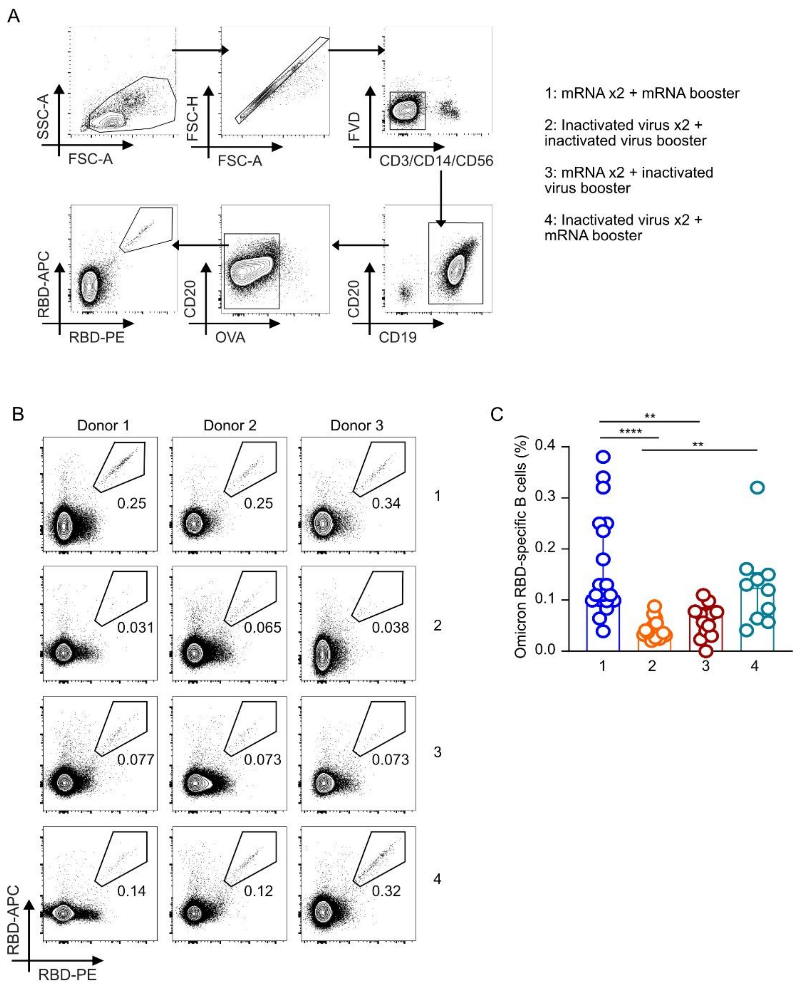 Vaccines 10 01057 g003