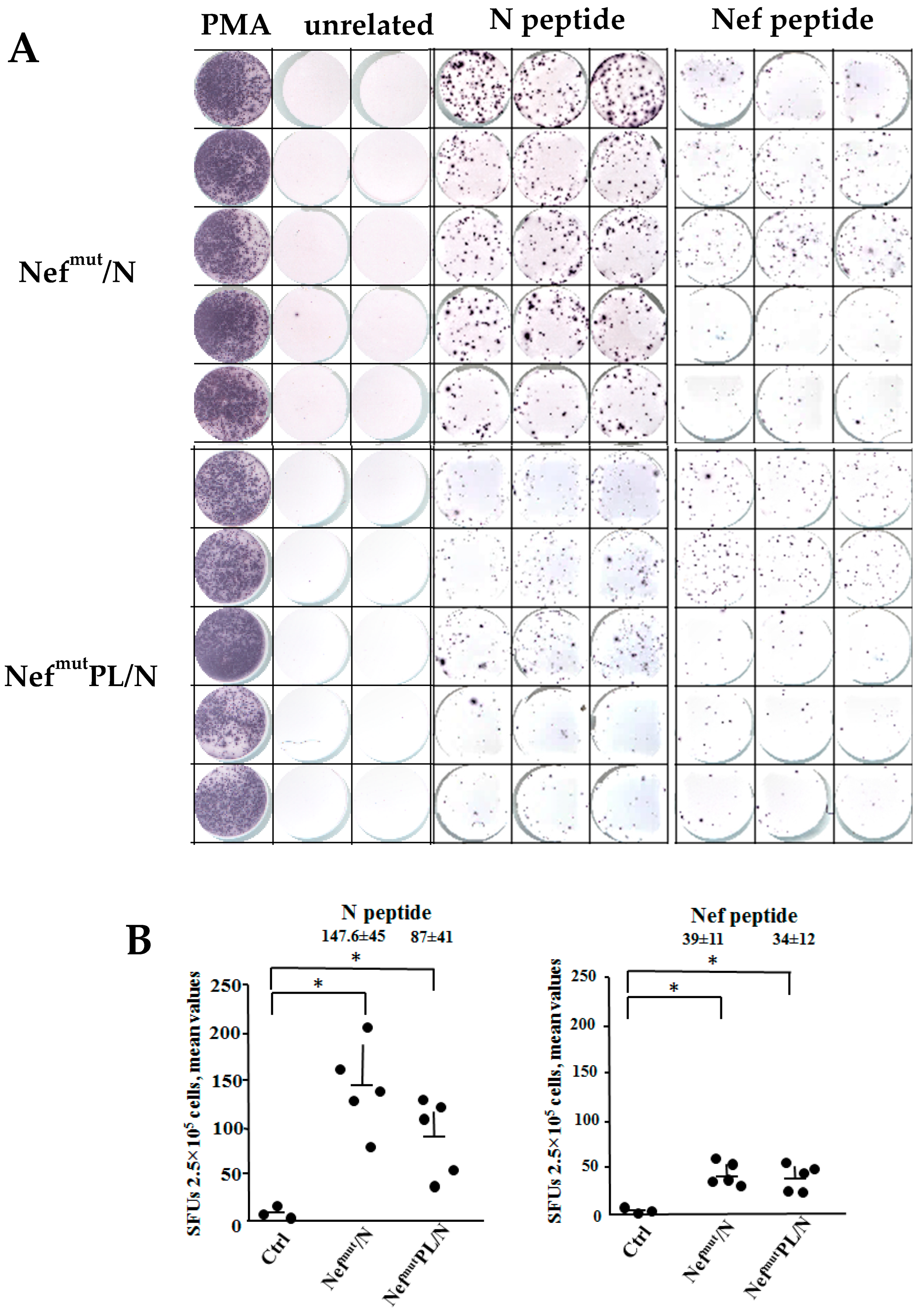 Vaccines 10 01060 g002