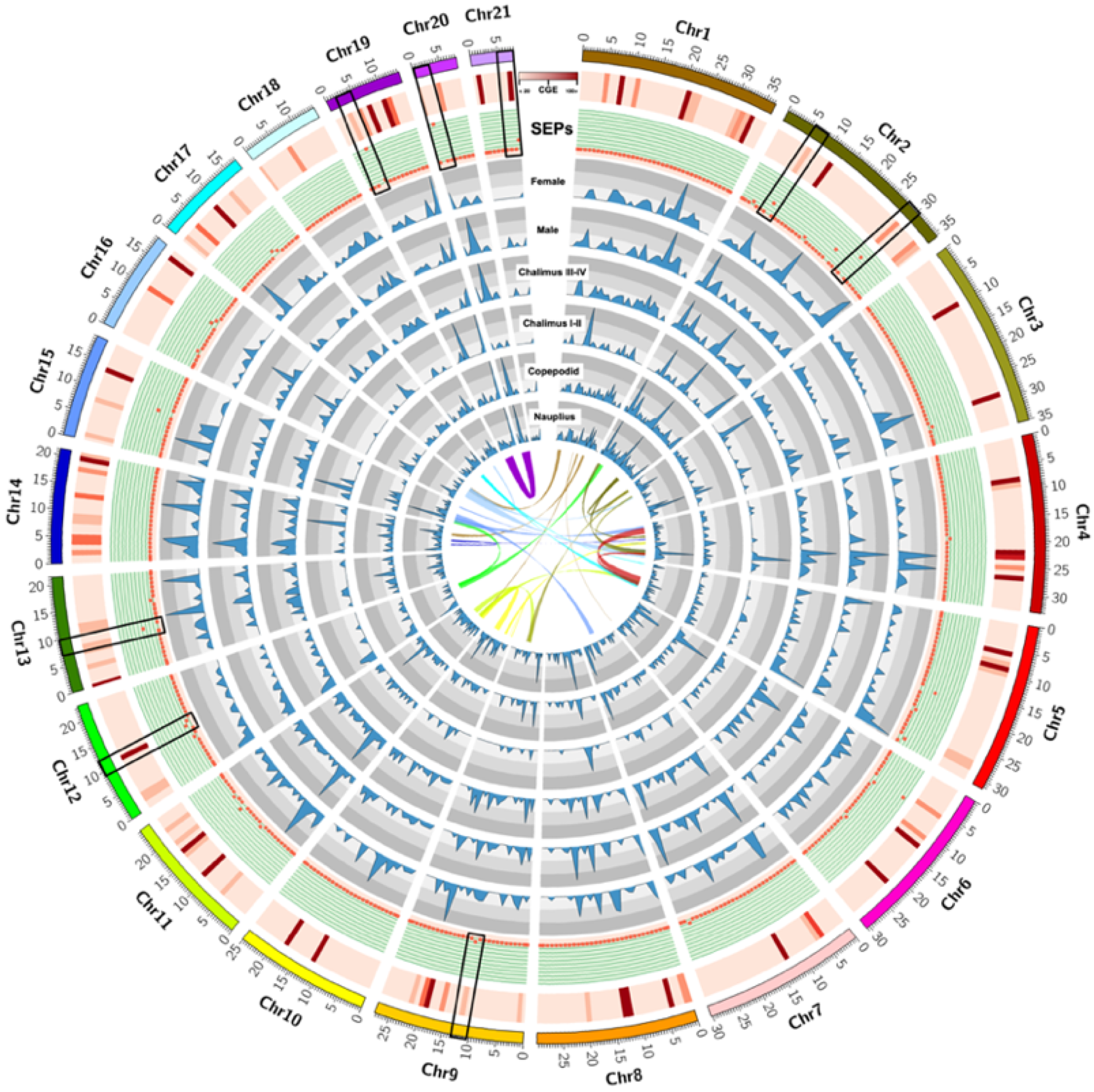 Vaccines 10 01063 g001
