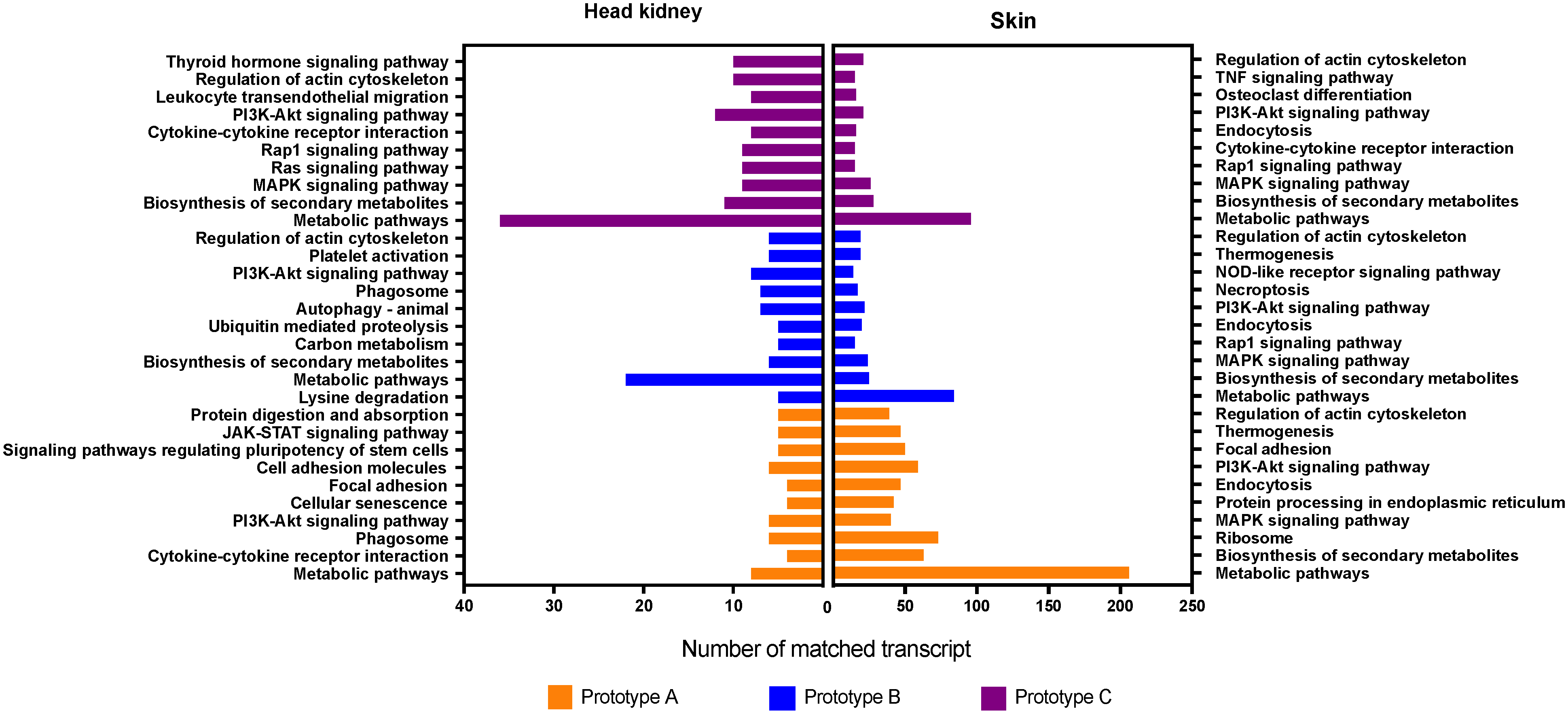 Vaccines 10 01063 g007