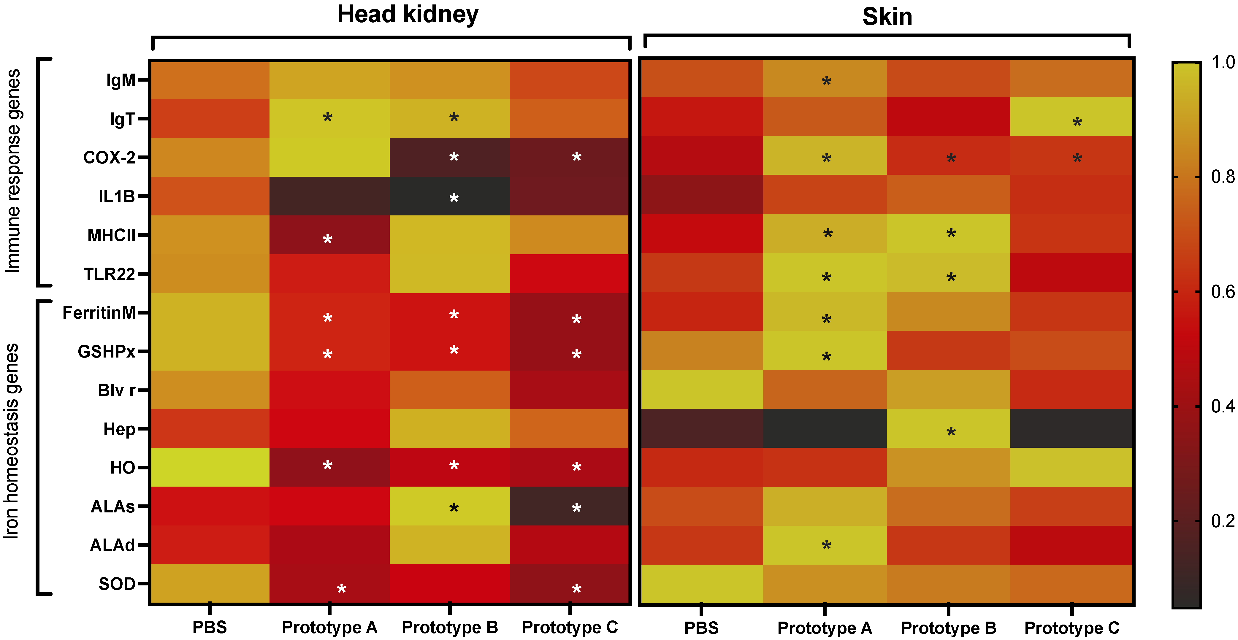 Vaccines 10 01063 g008