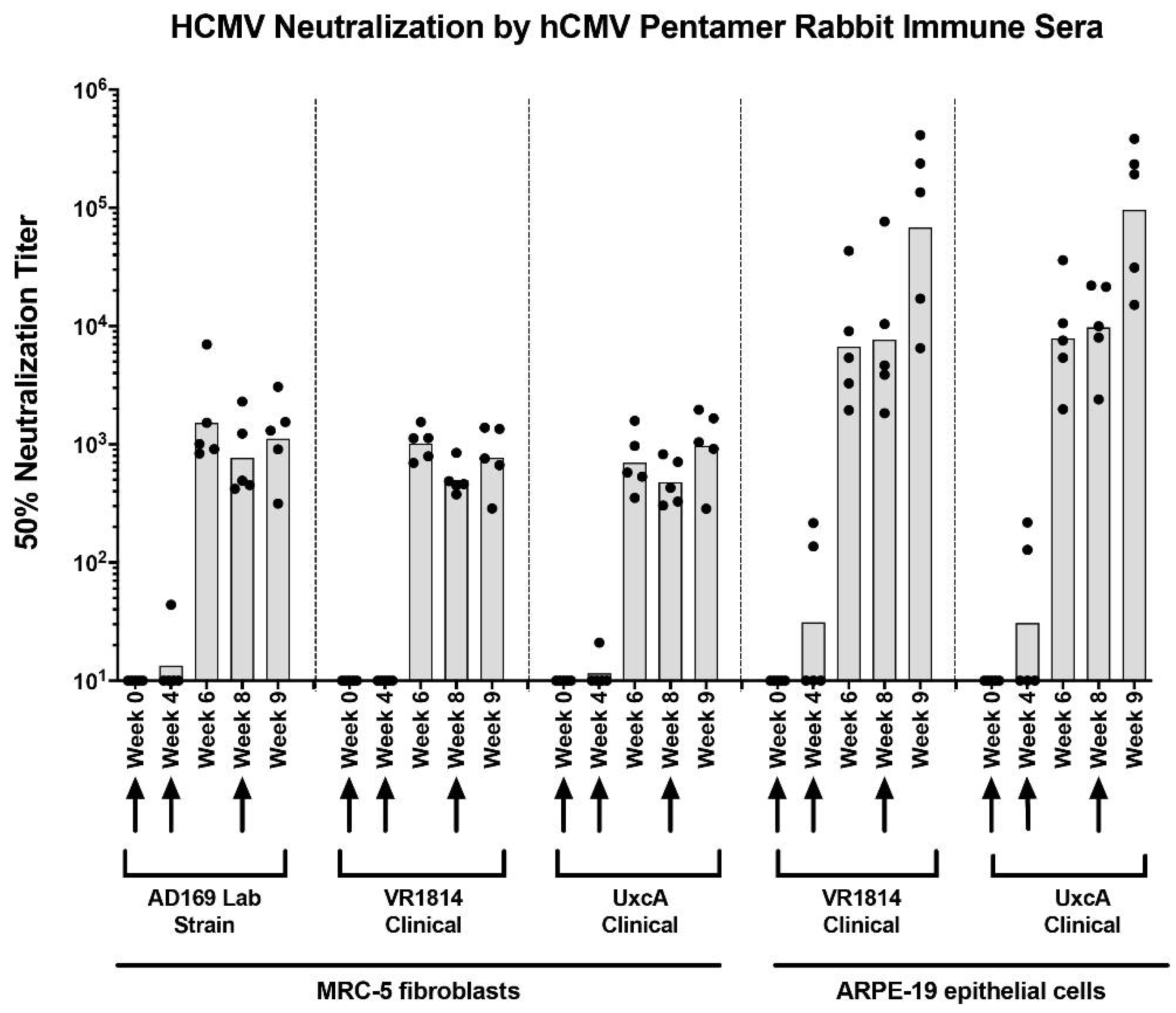 Vaccines 10 01074 g001