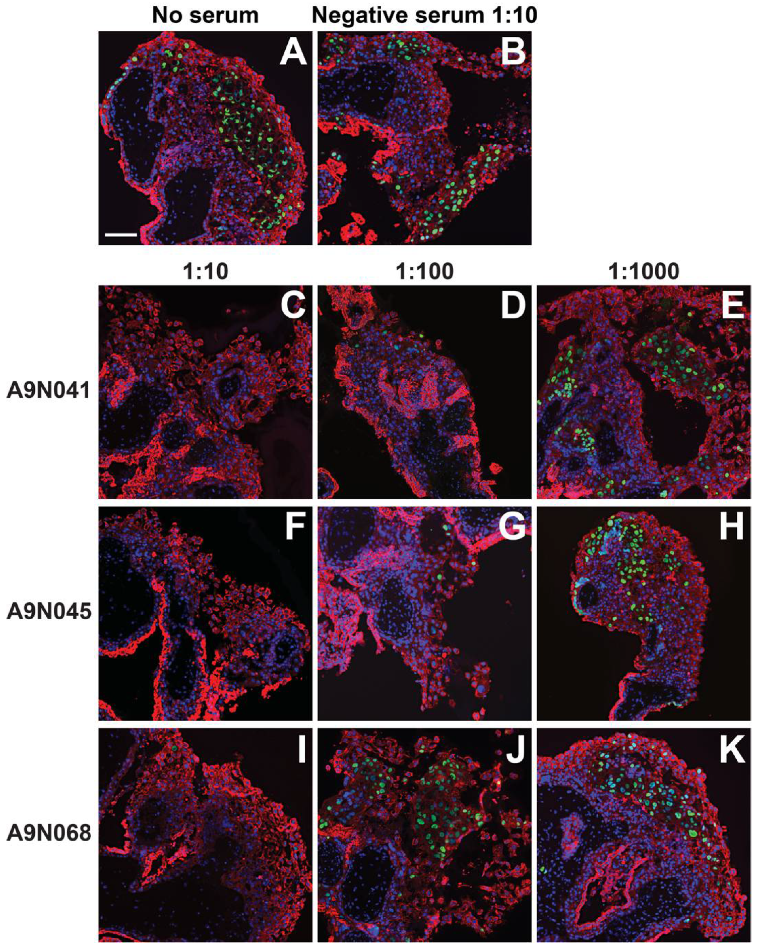 Vaccines 10 01074 g004