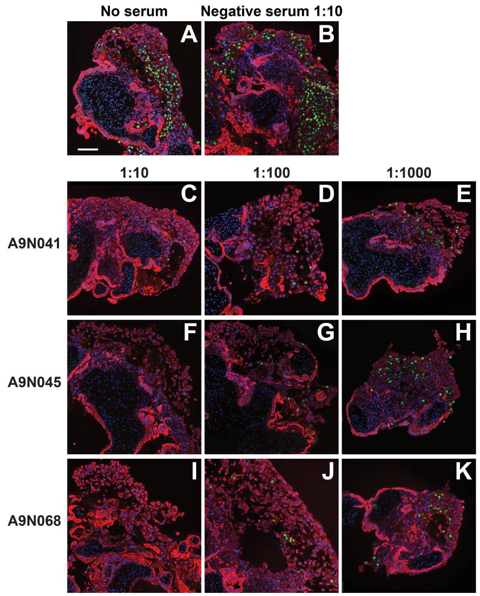 Vaccines 10 01074 g005