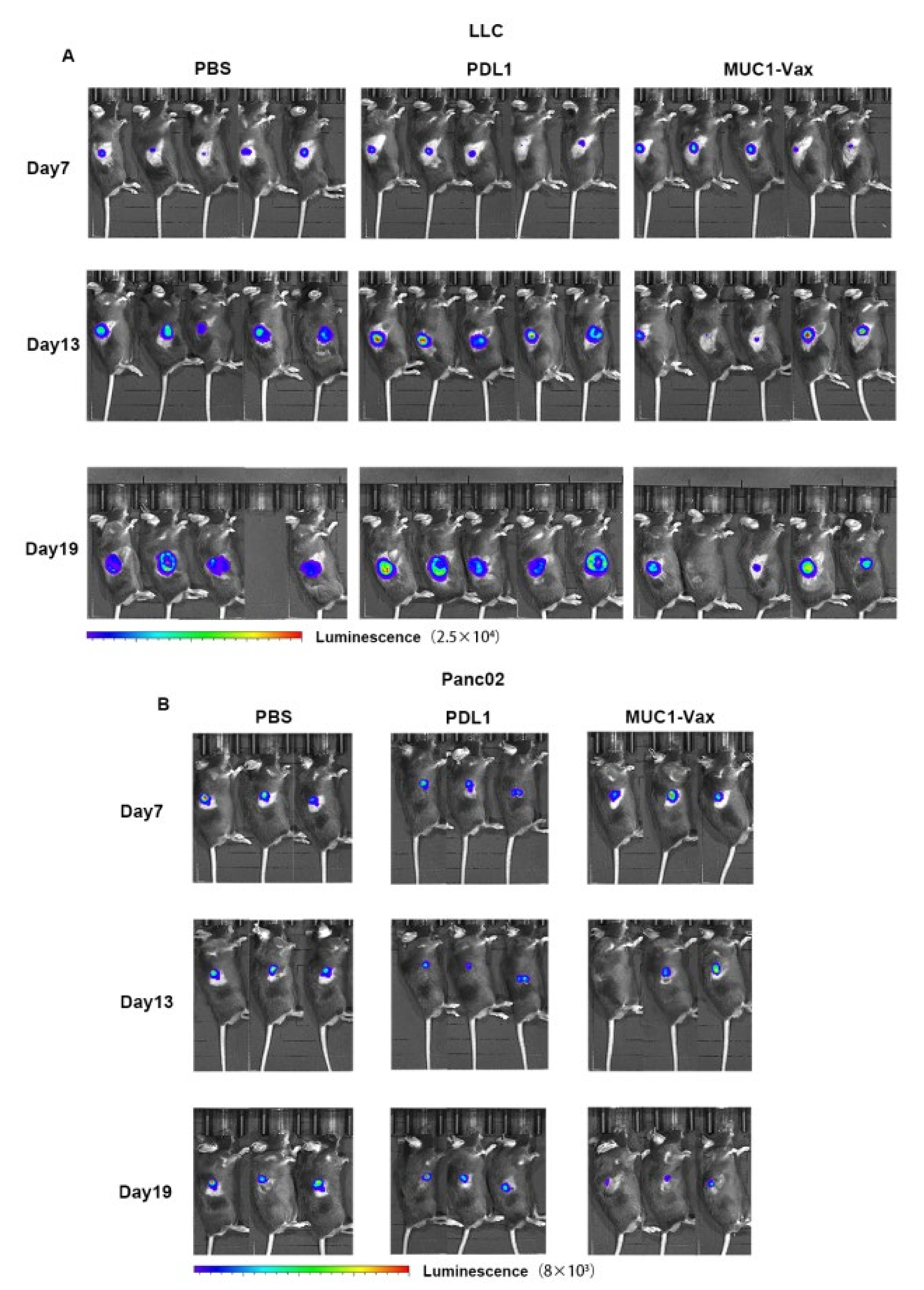 Vaccines 10 01092 g005