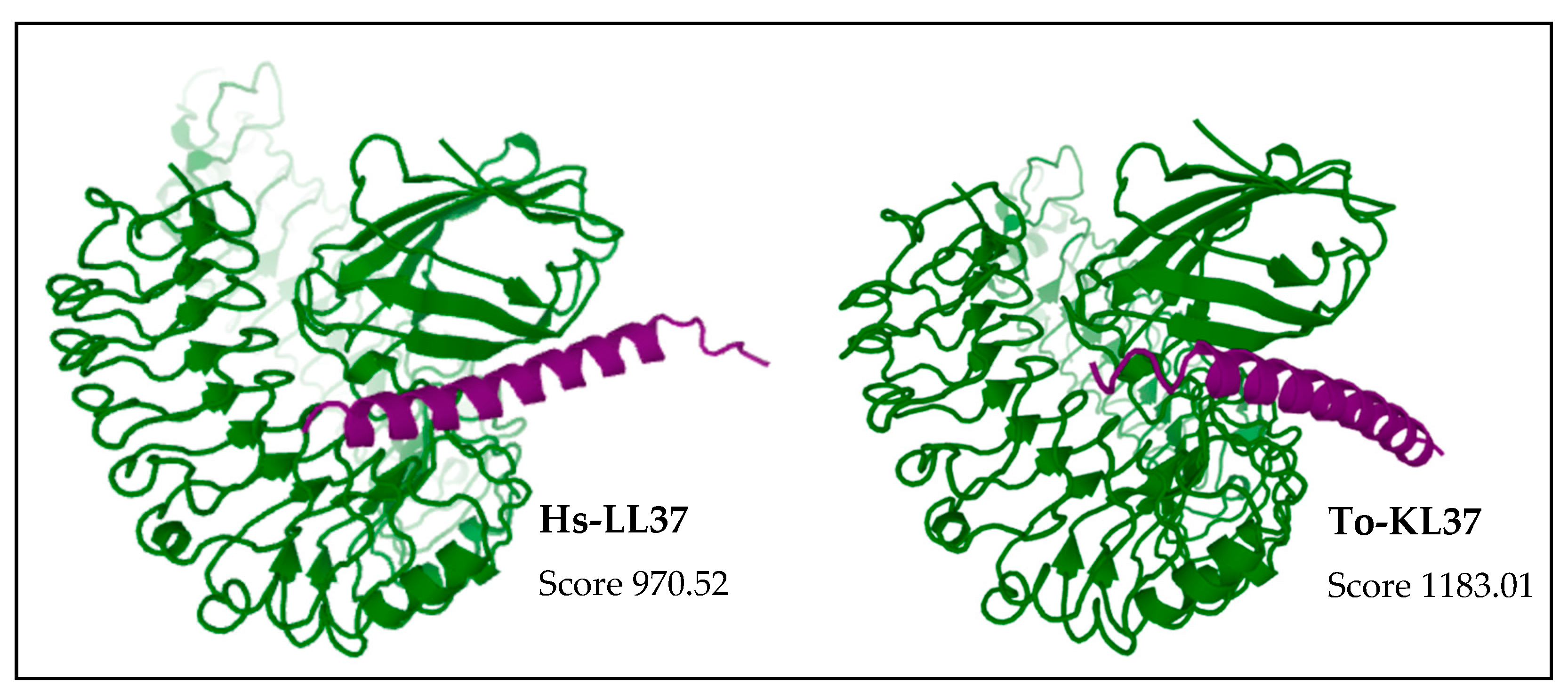 Vaccines 10 01105 g009