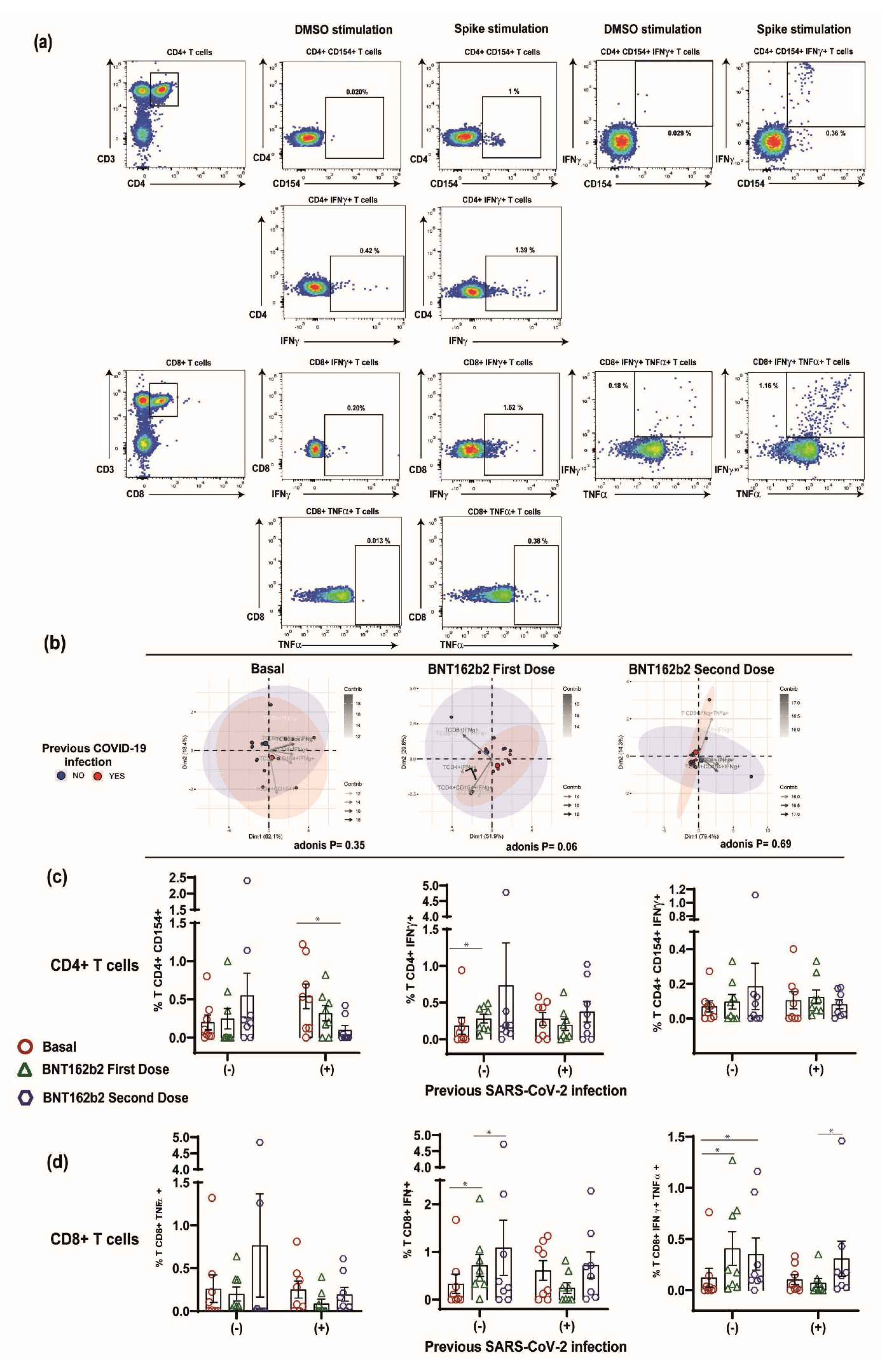 Vaccines 10 01117 g003 550