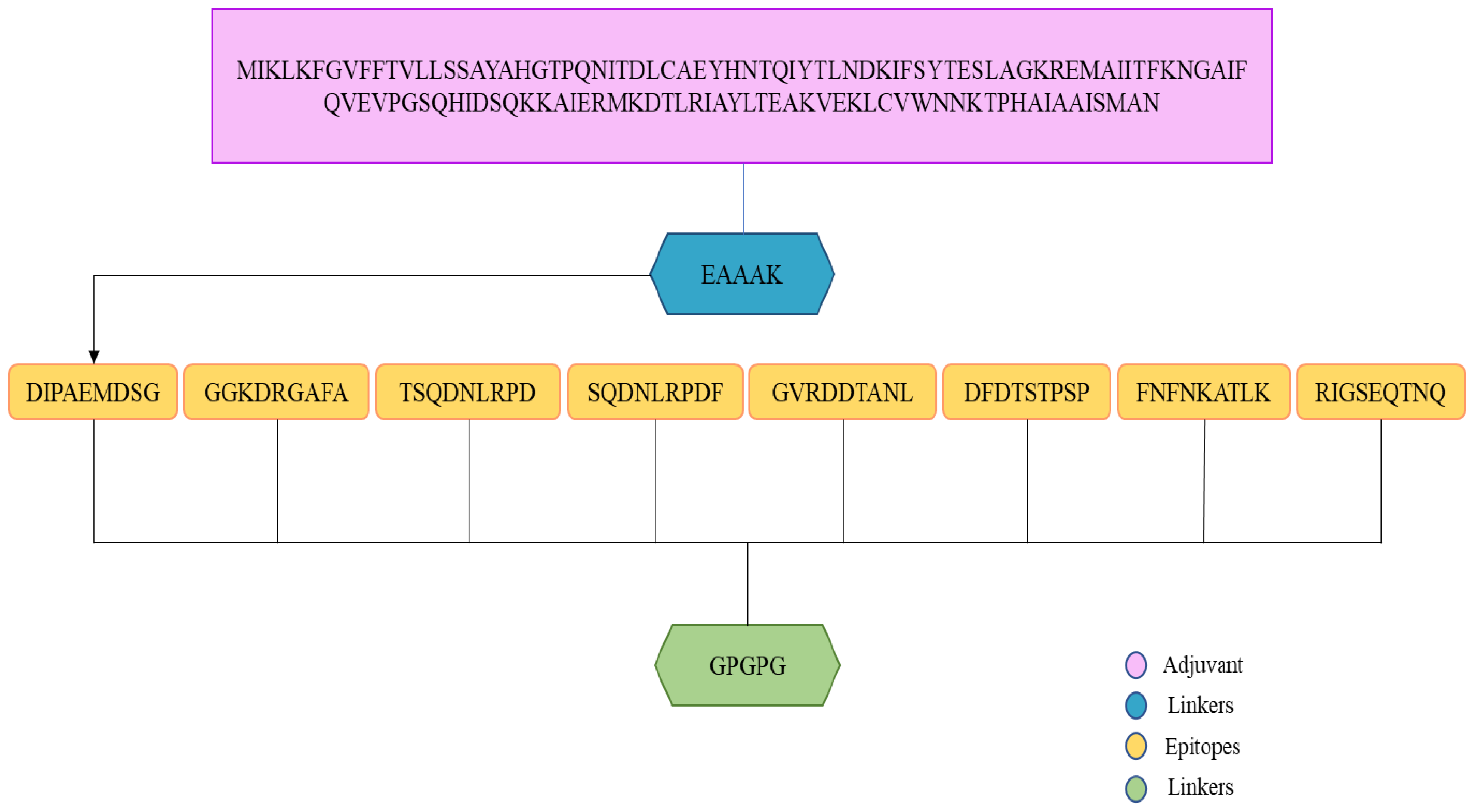 Vaccines 10 01127 g006 Vaccines 10 01127 g006