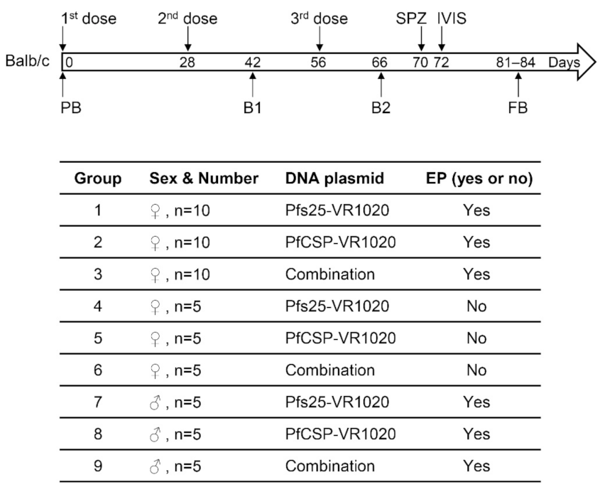 Vaccines 10 01134 g001