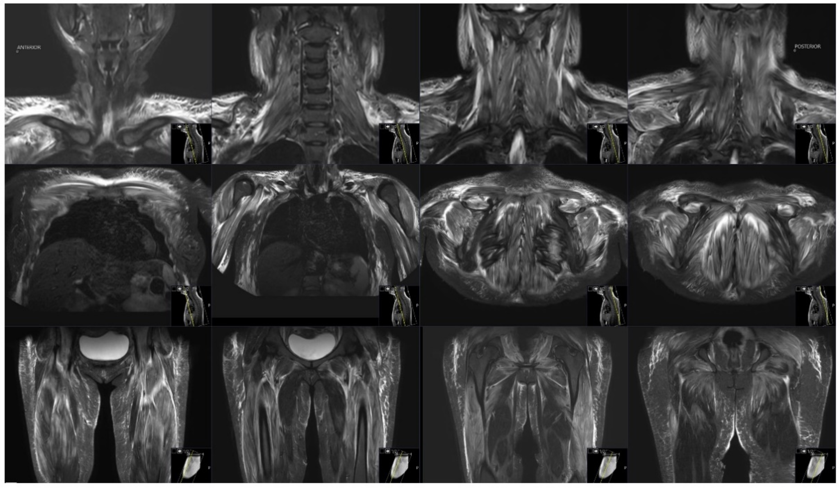 Vaccines 10 01135 g001