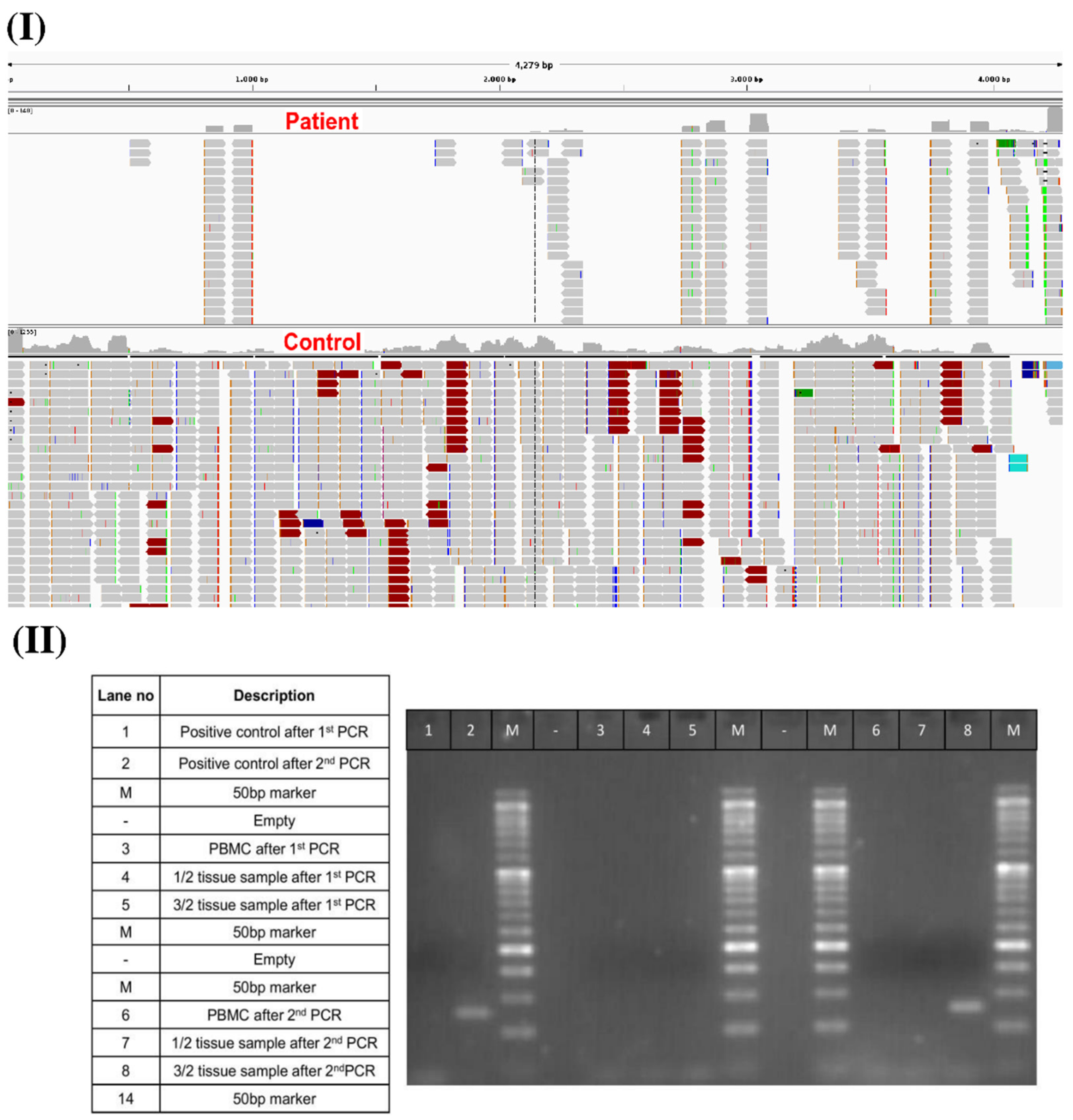 Vaccines 10 01135 g003