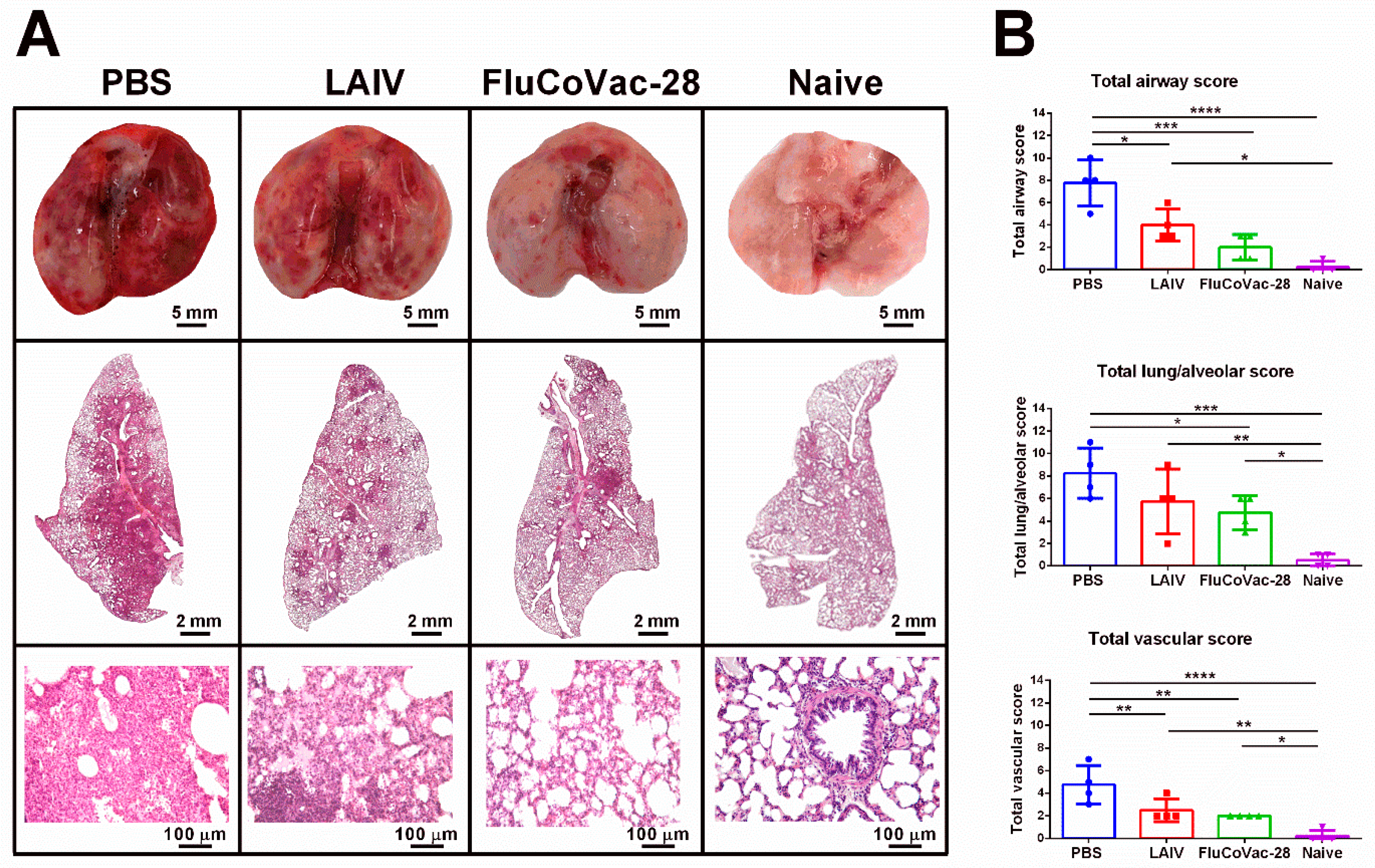 Vaccines 10 01142 g008 Vaccines 10 01142 g008