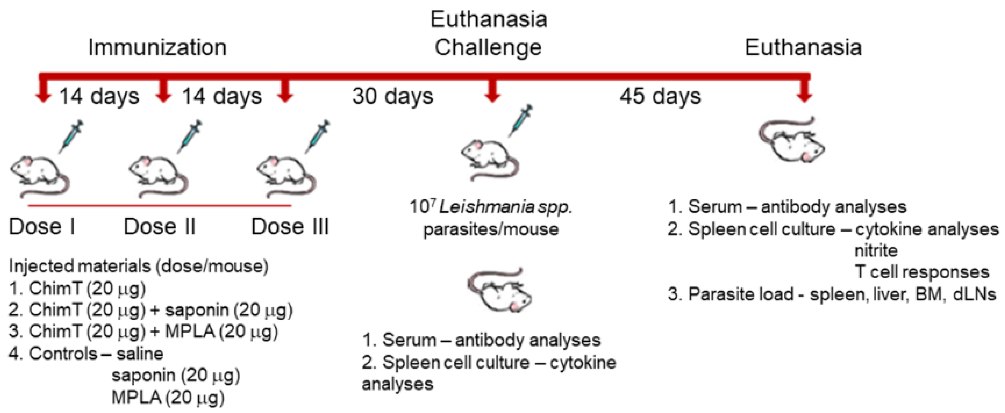 Vaccines 10 01146 g001