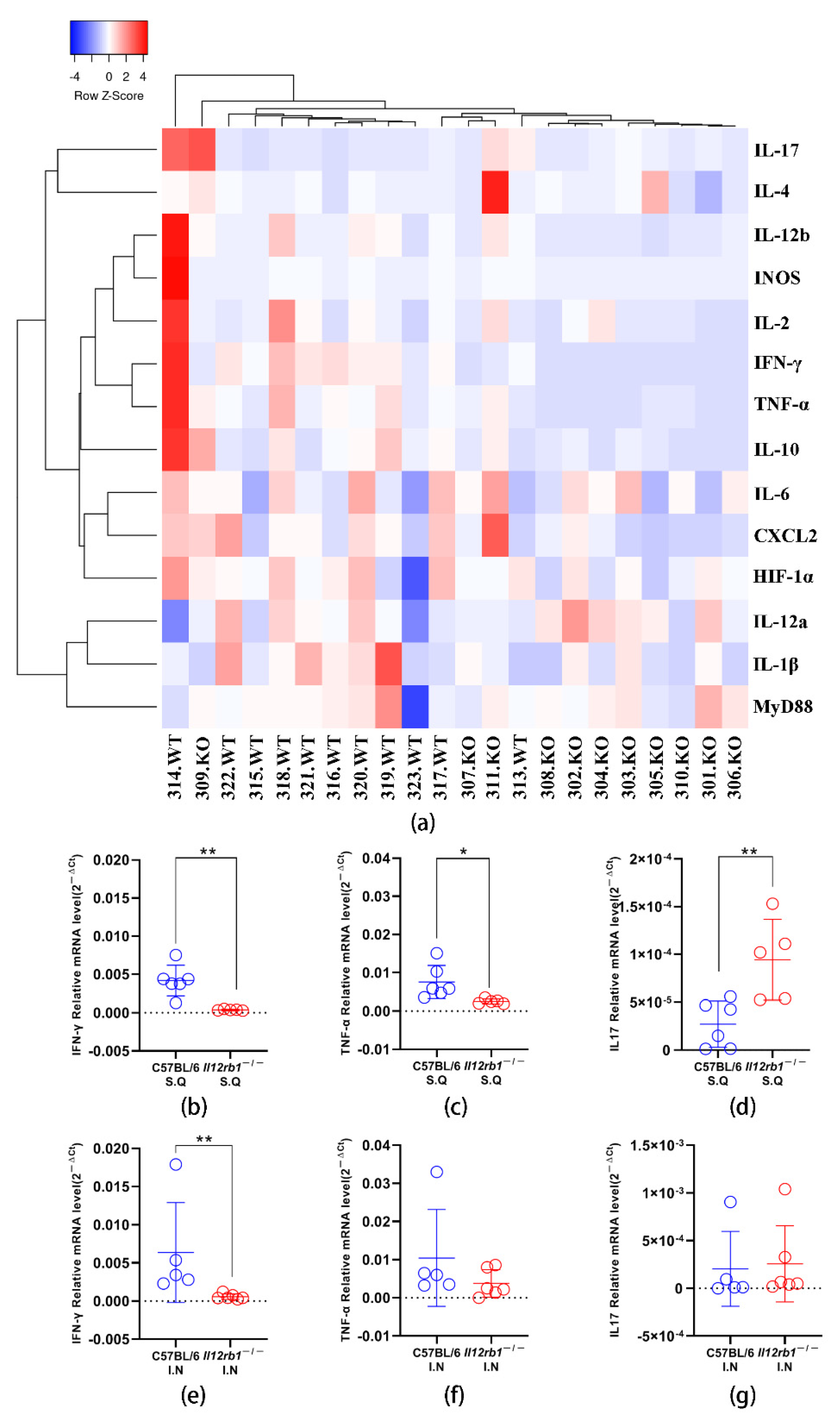 Vaccines 10 01147 g002 550