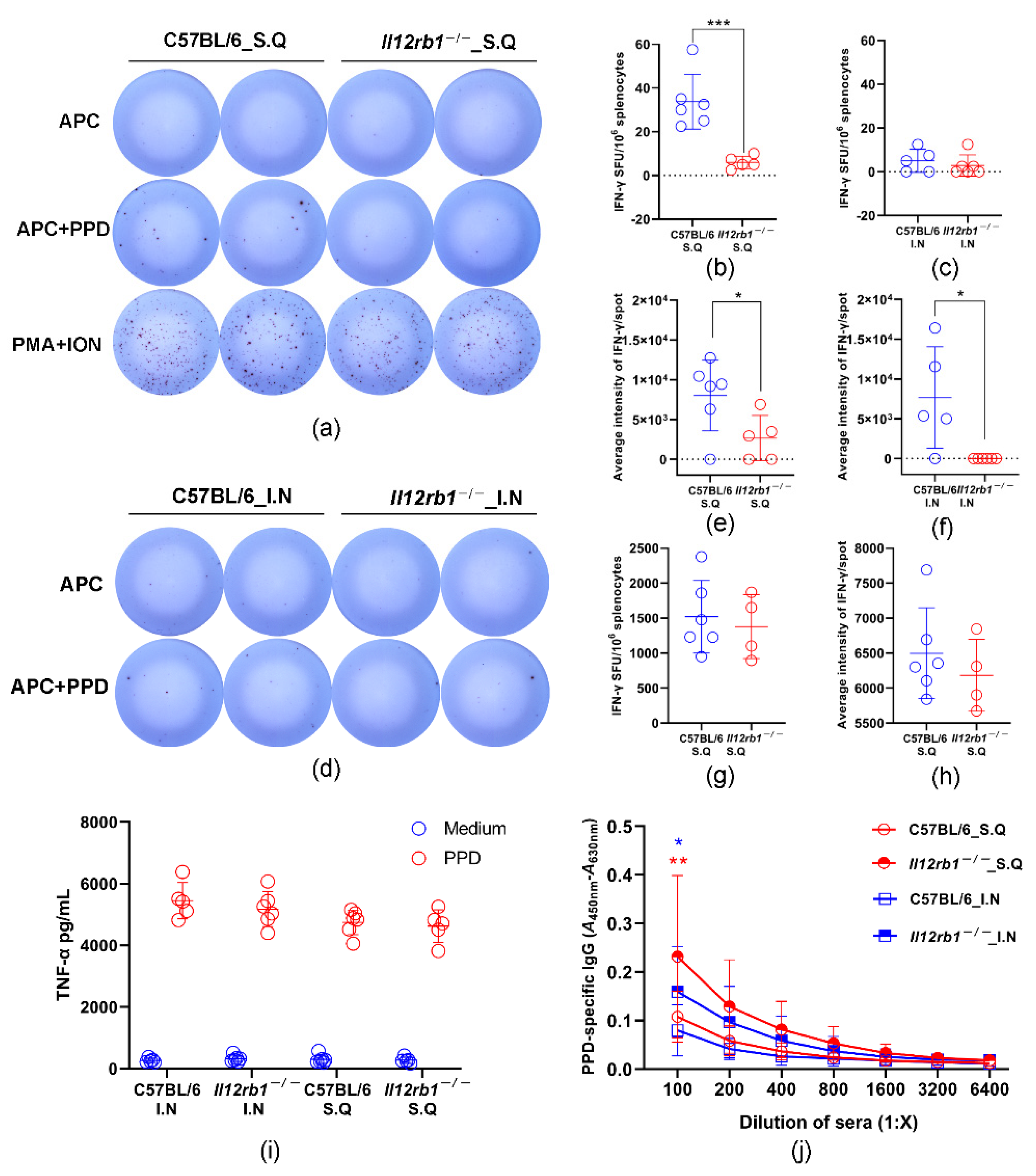 Vaccines 10 01147 g003 550