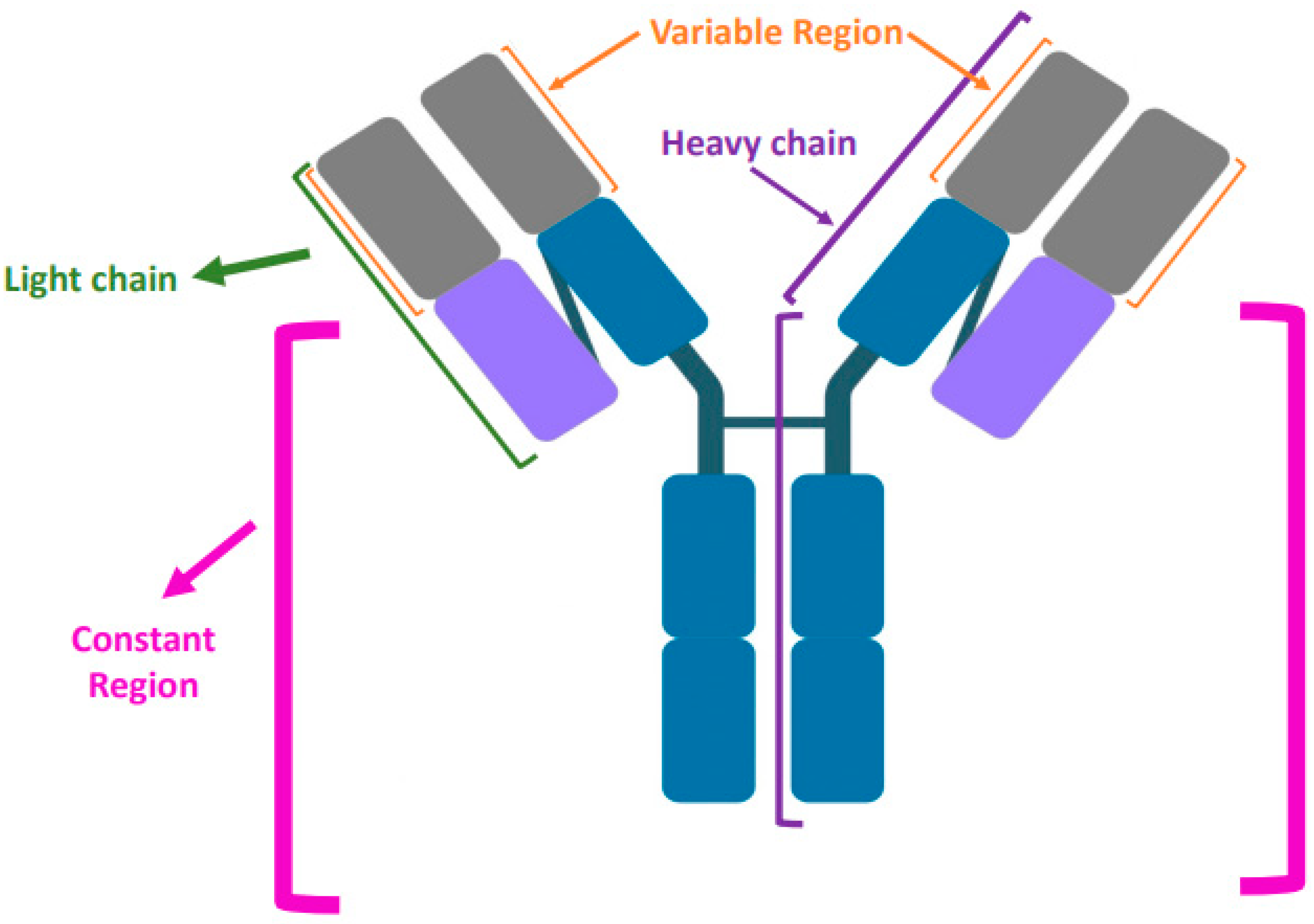 Vaccines 10 01165 g001
