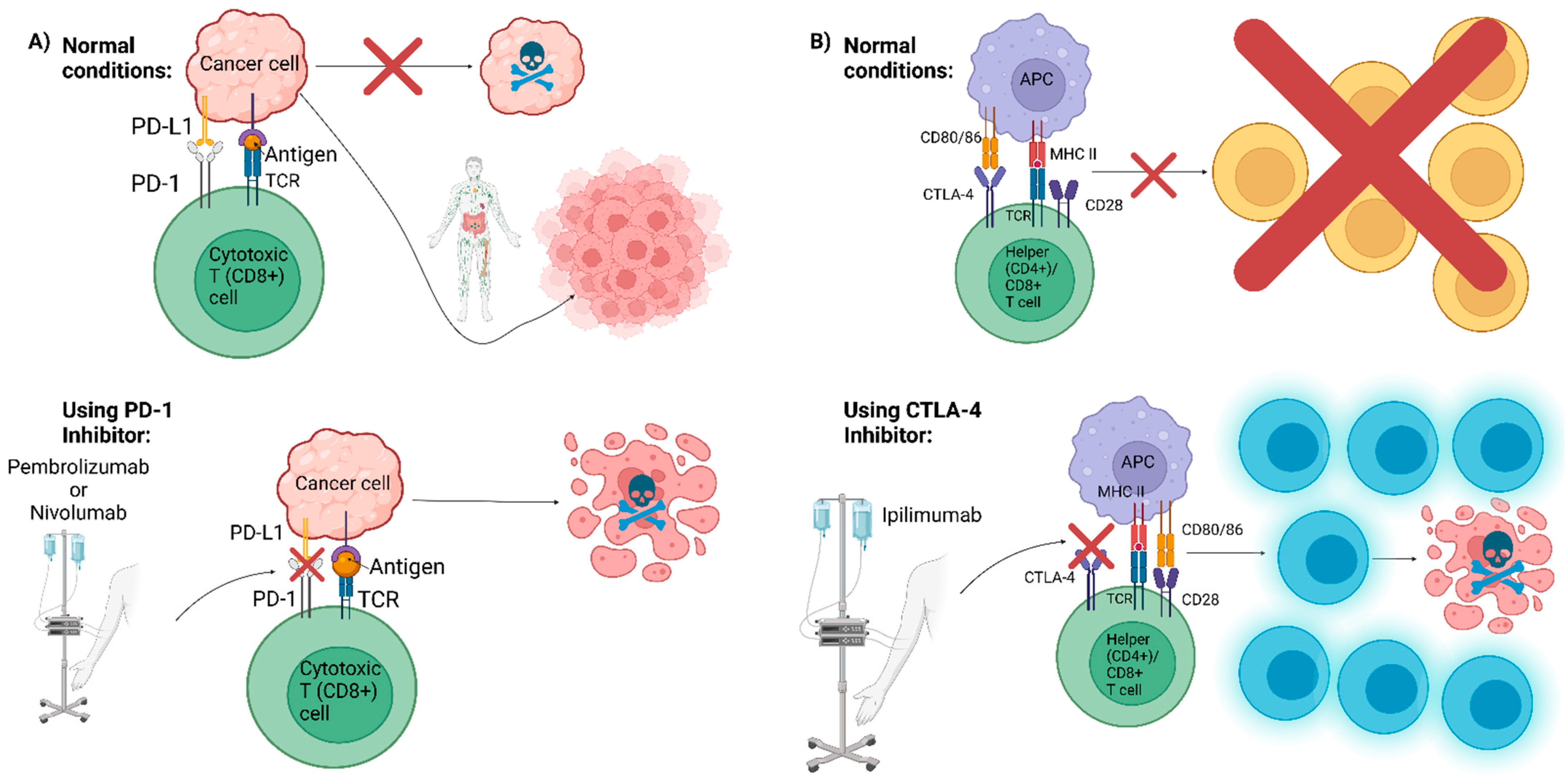 Vaccines 10 01165 g003