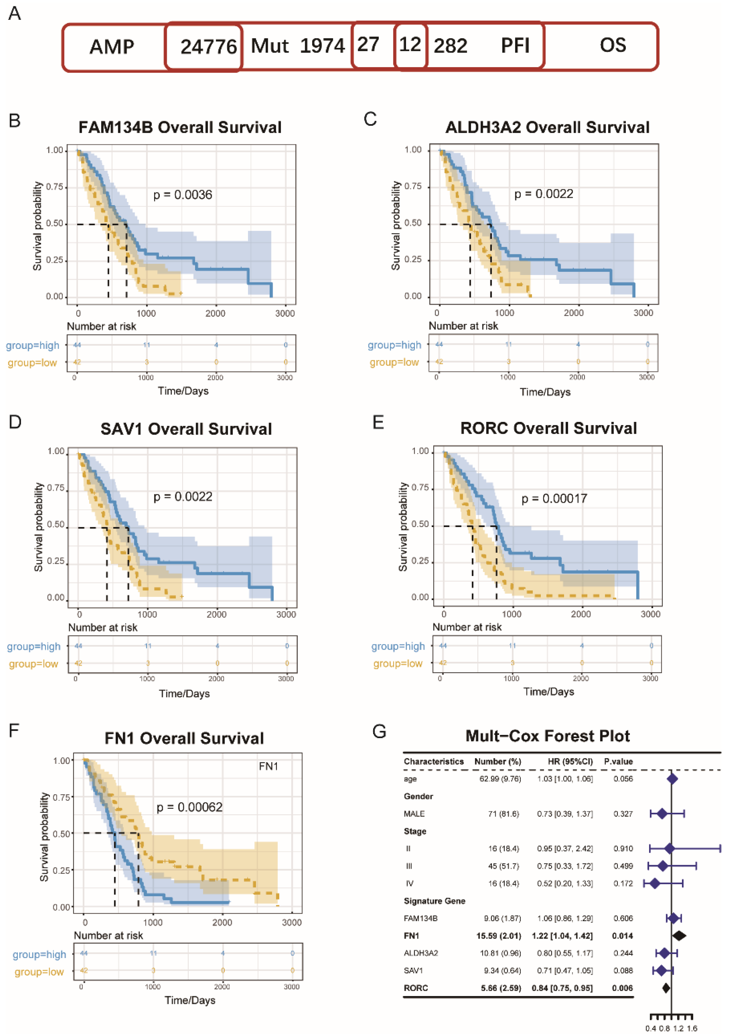 Vaccines 10 01168 g001