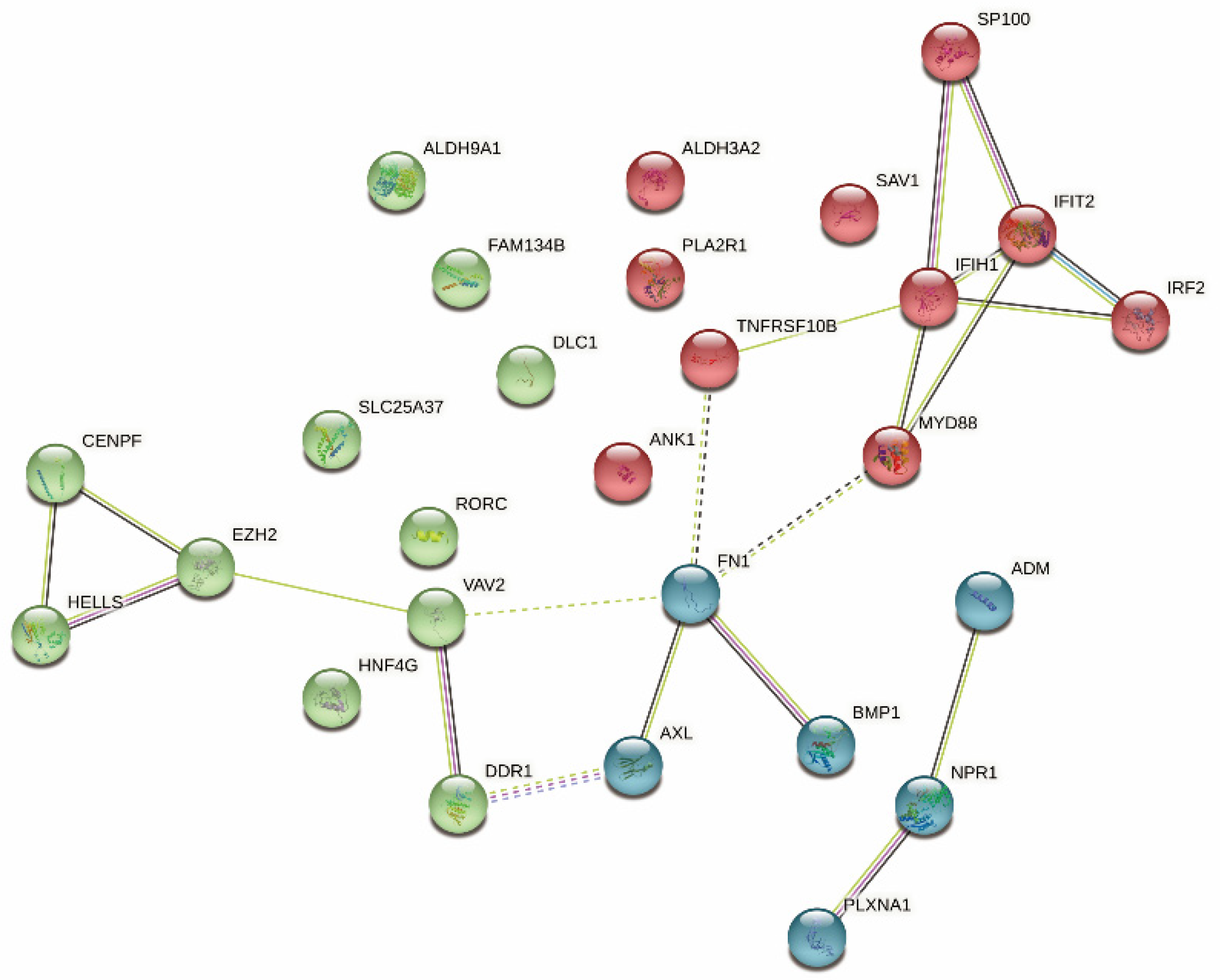 Vaccines 10 01168 g008