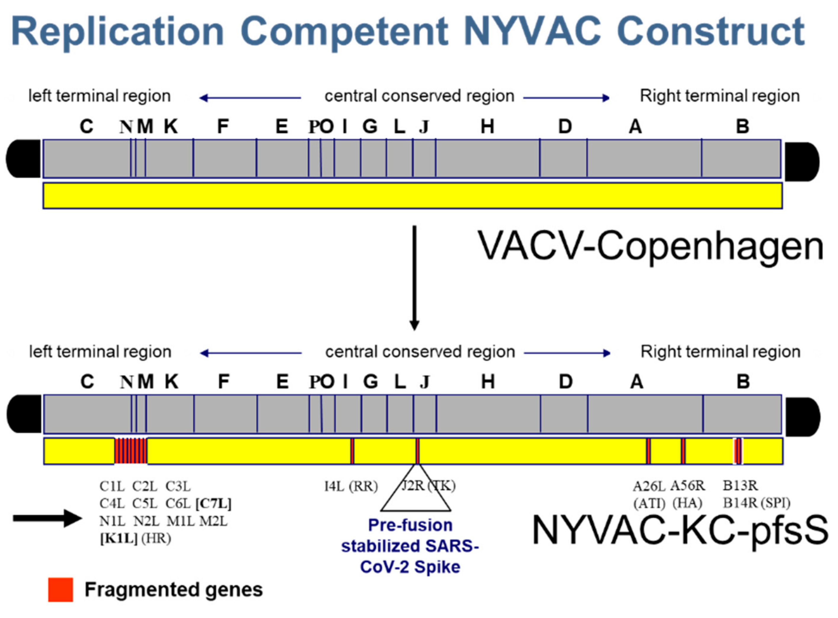 Vaccines 10 01172 g002
