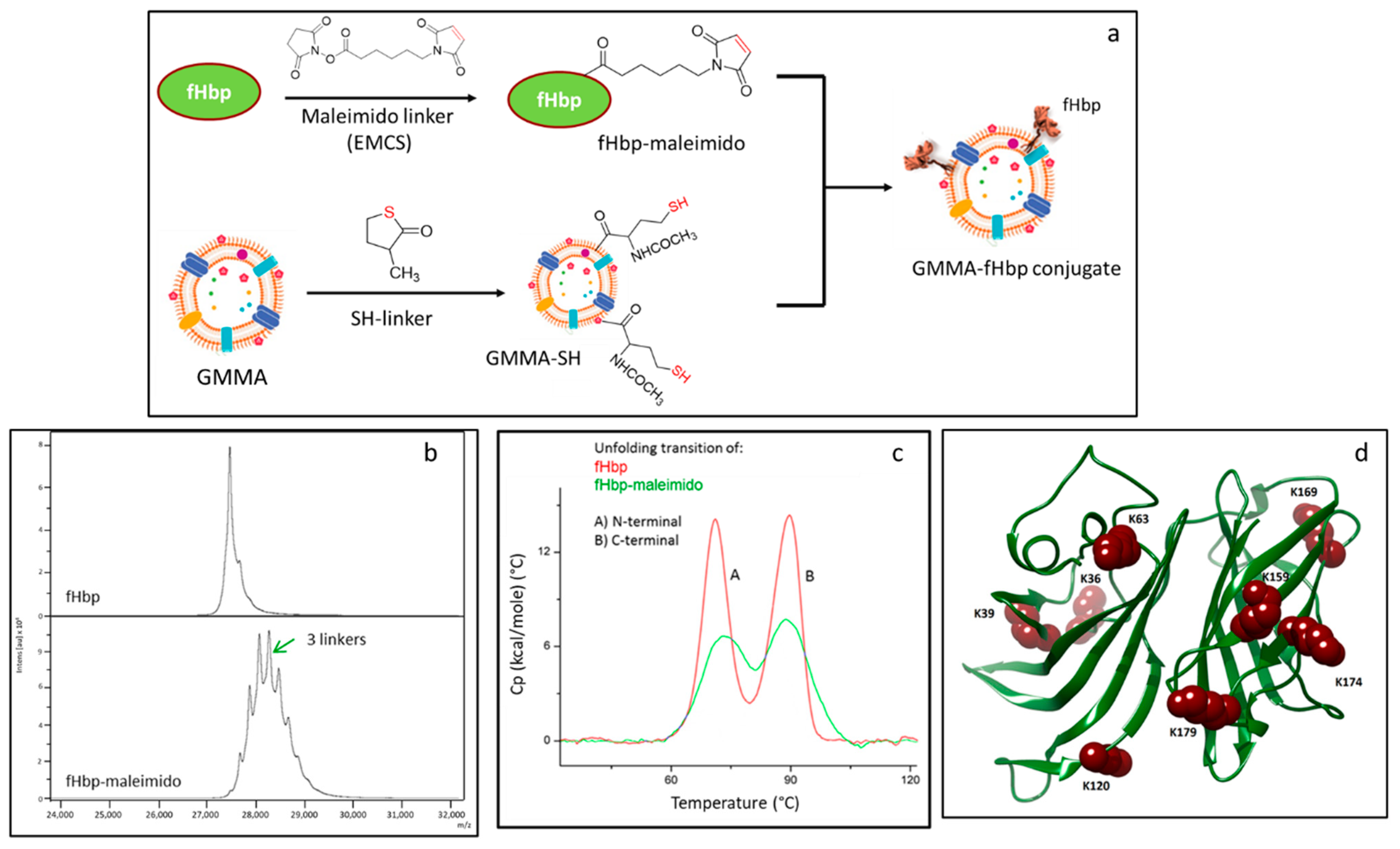Vaccines 10 01182 g001 550