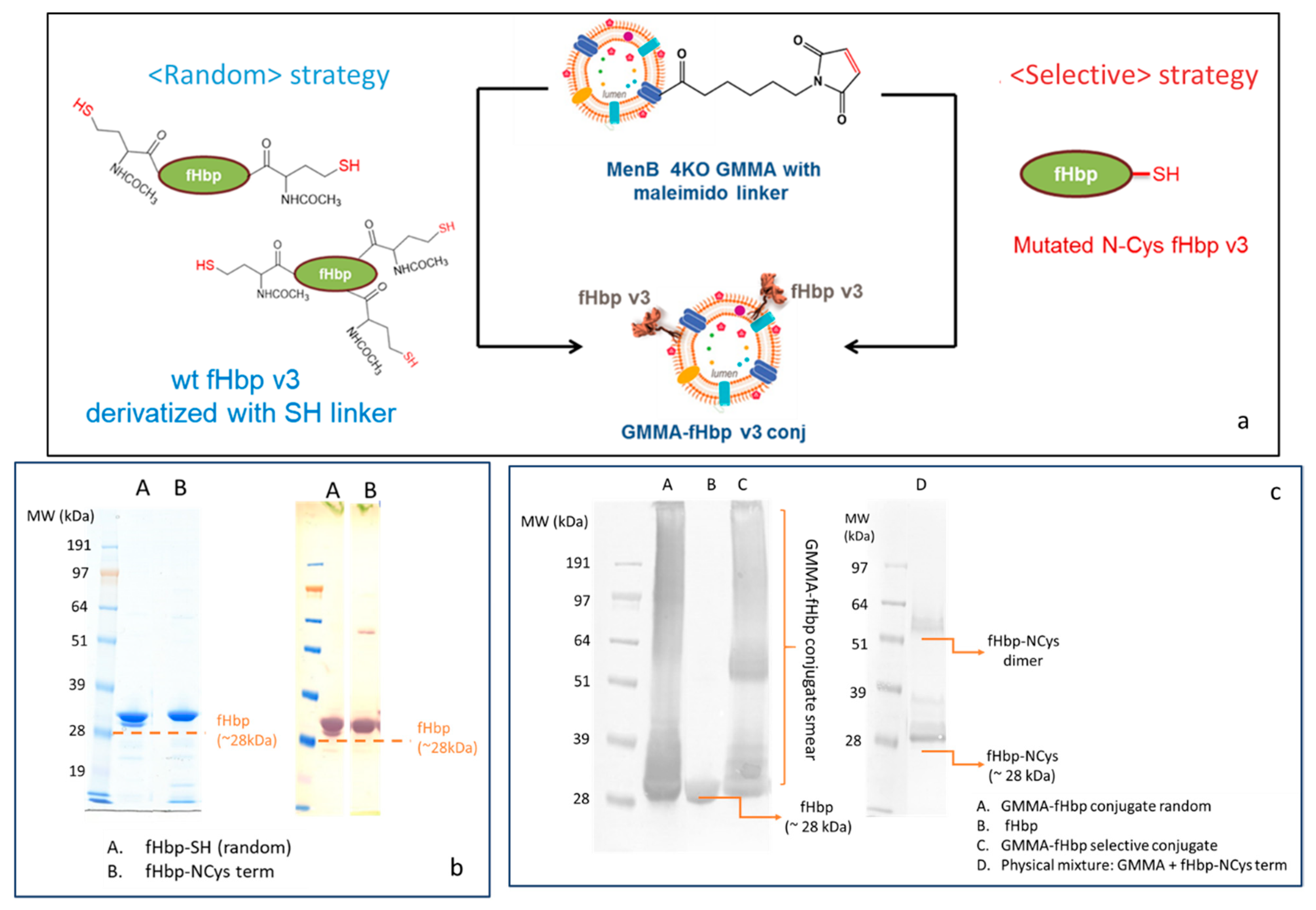 Vaccines 10 01182 g002 550