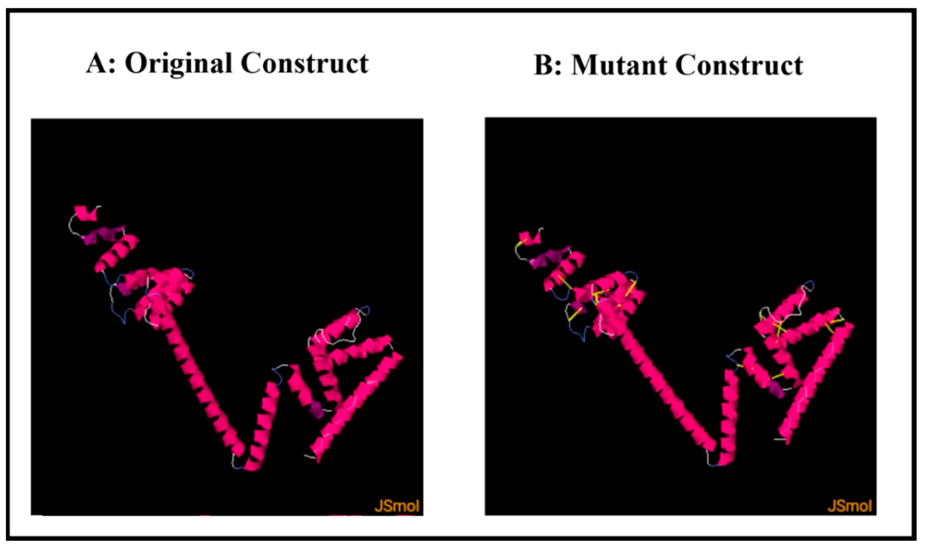 Vaccines 10 01192 g009 Vaccines 10 01192 g009