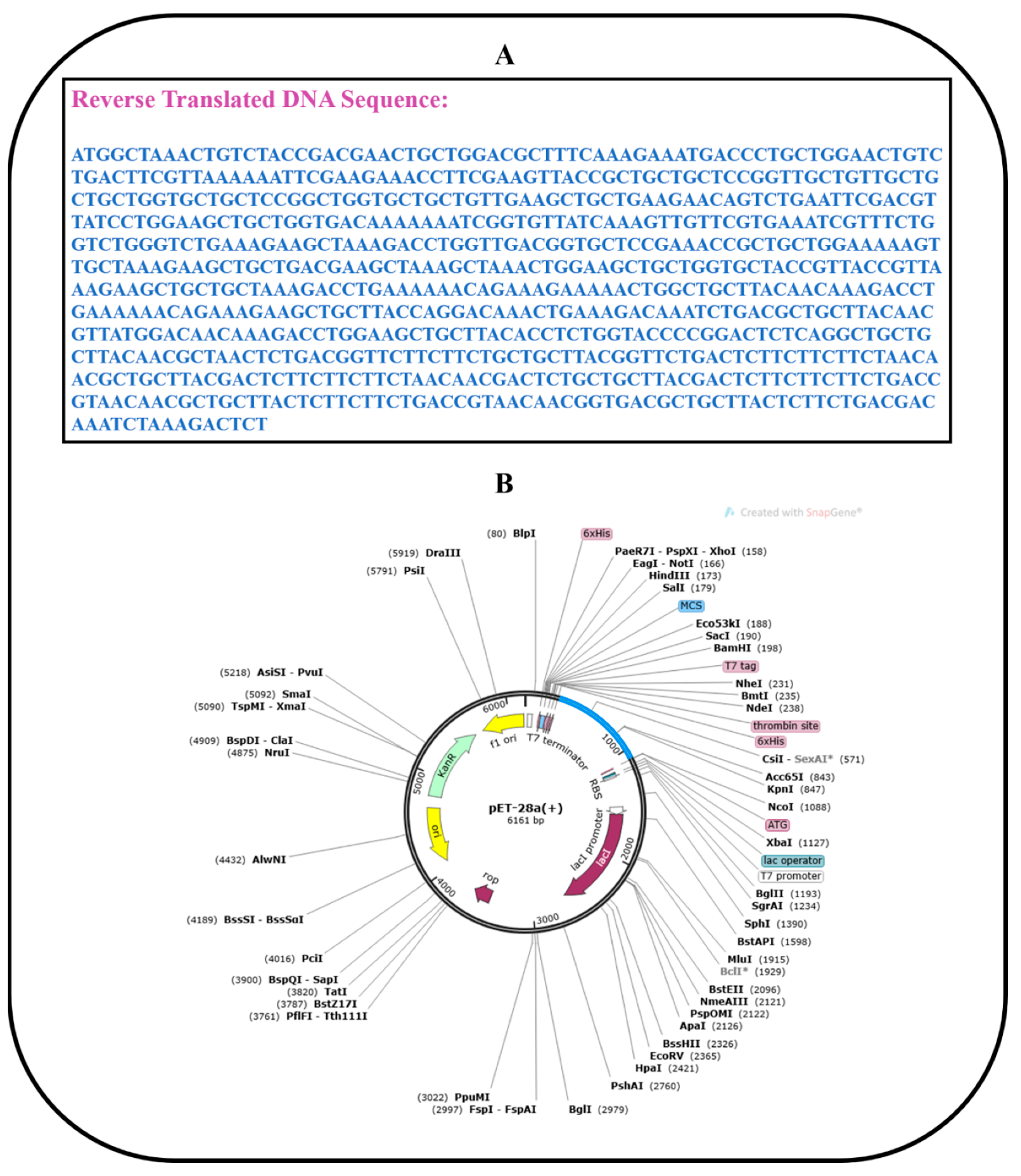 Vaccines 10 01192 g010 Vaccines 10 01192 g010
