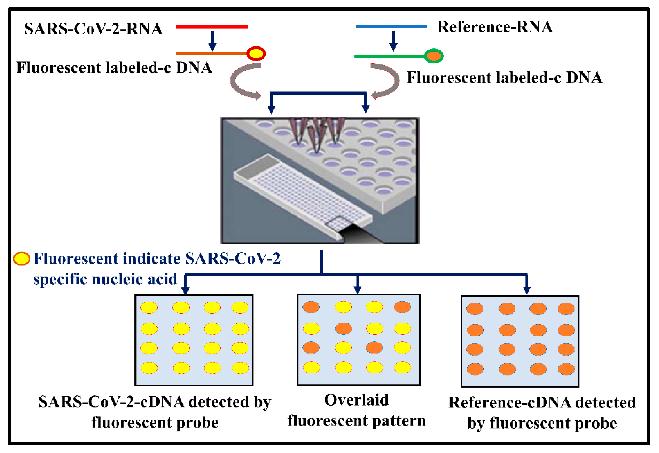 Vaccines 10 01200 g002